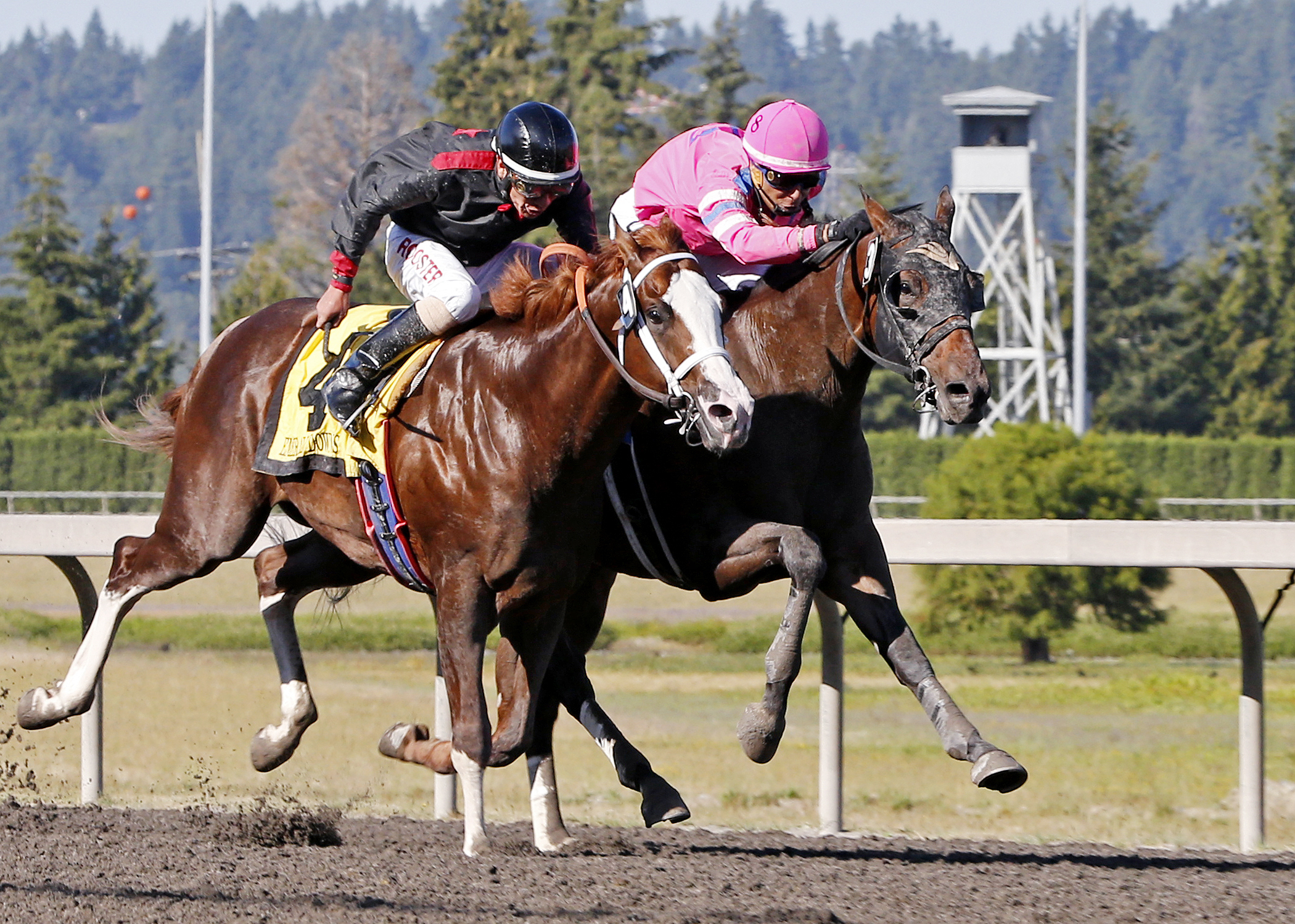 Barkley finishes second in the 2016 Emerald Derby