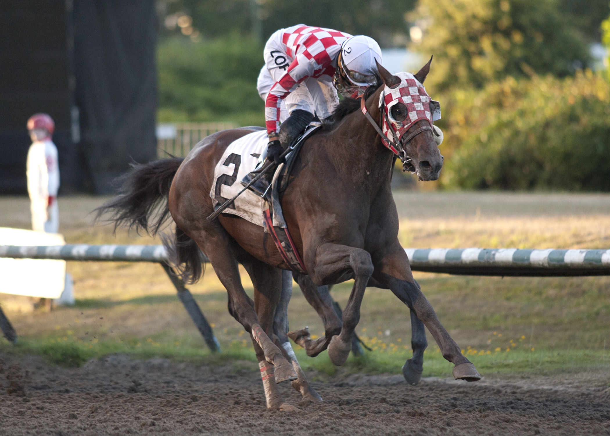 Opportunistic wins the Sir Winston Churhill Derby Trial