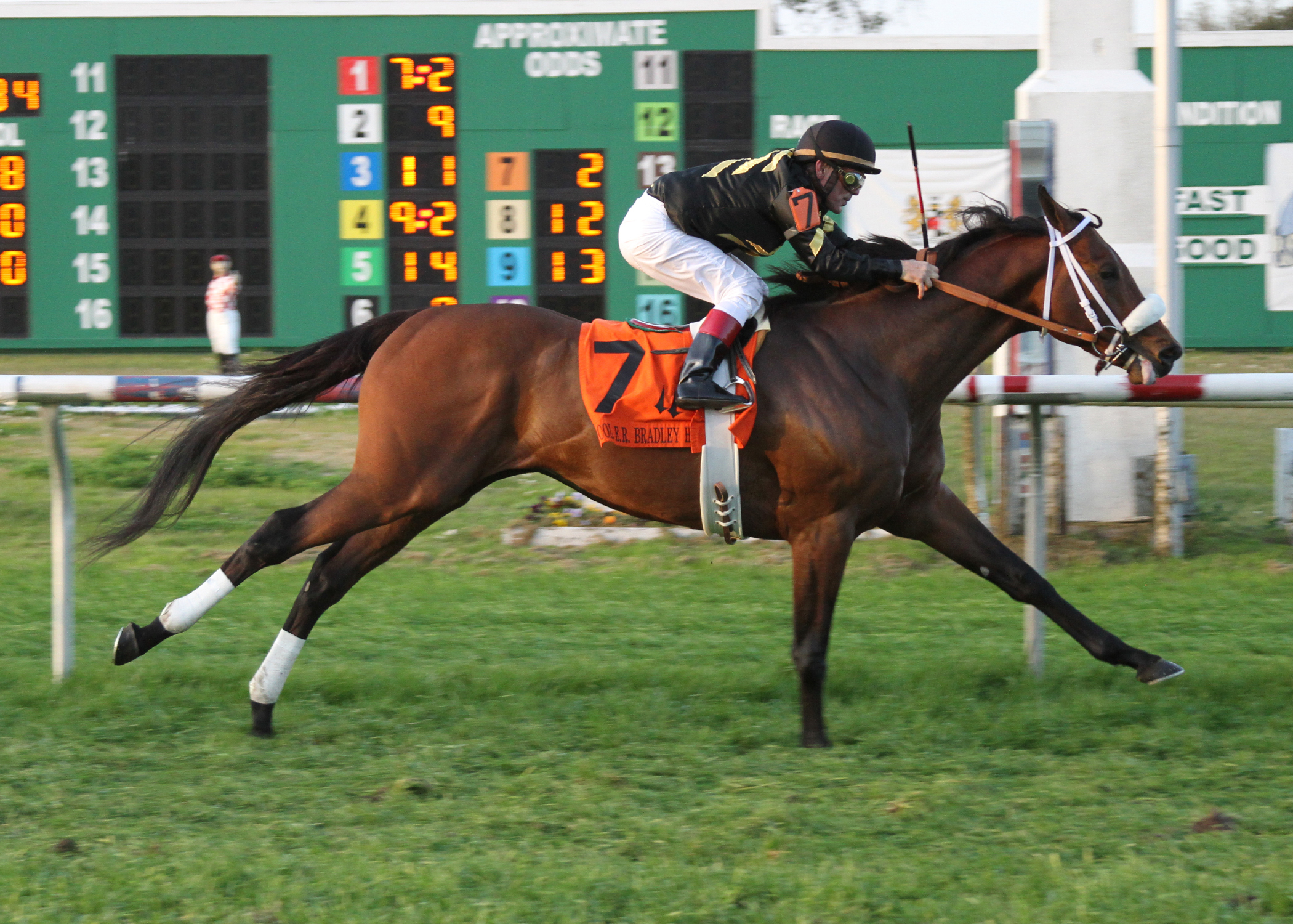 Optimizer, Col. E. R. Bradley Handicap