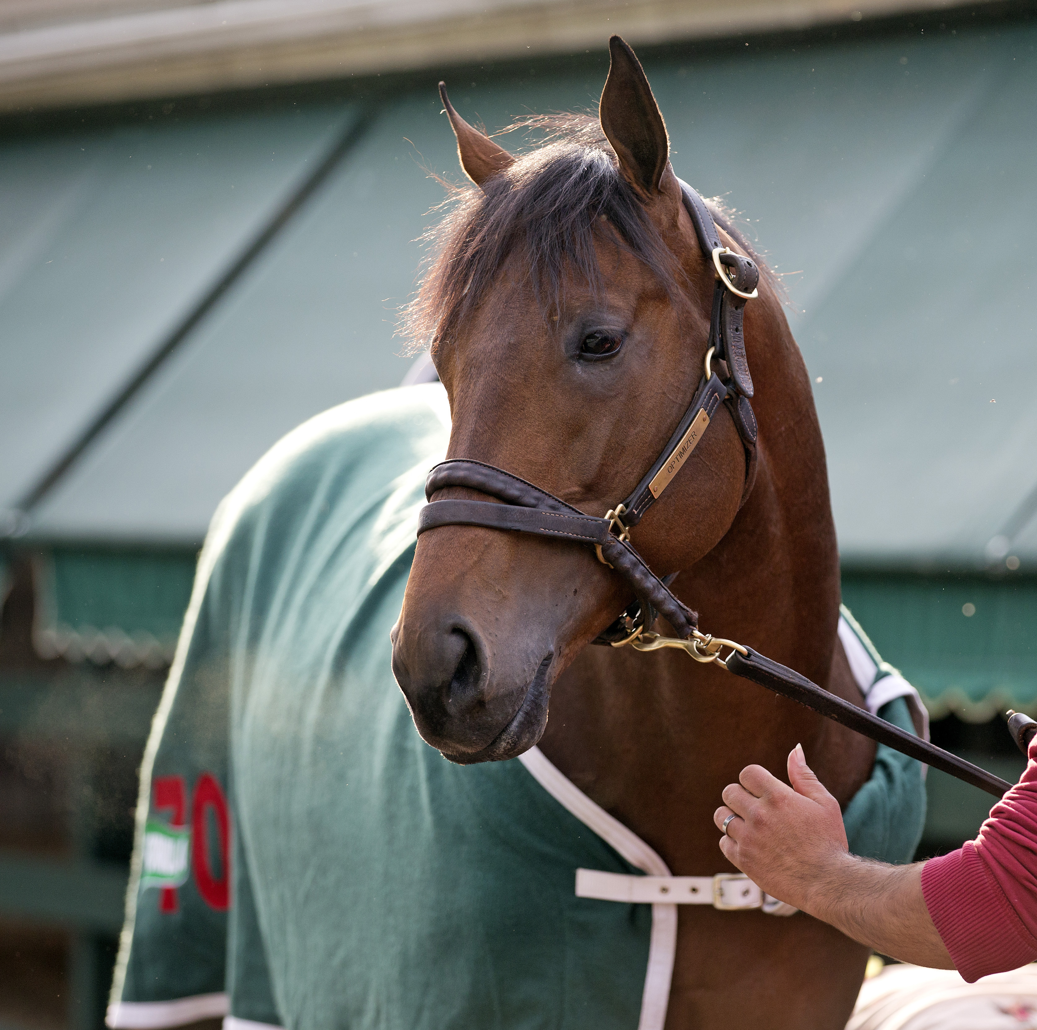 Optimizer