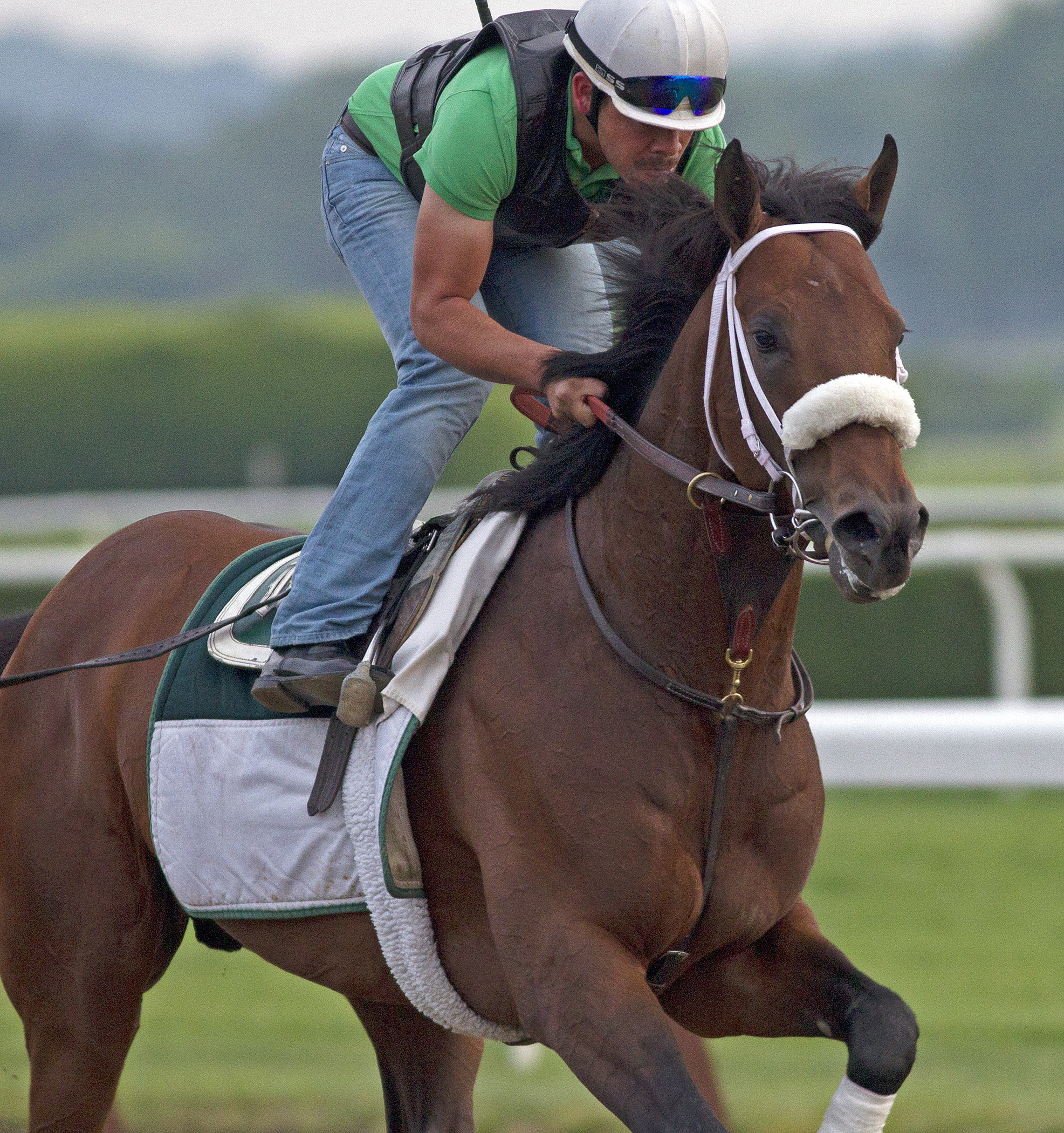 Optimizer