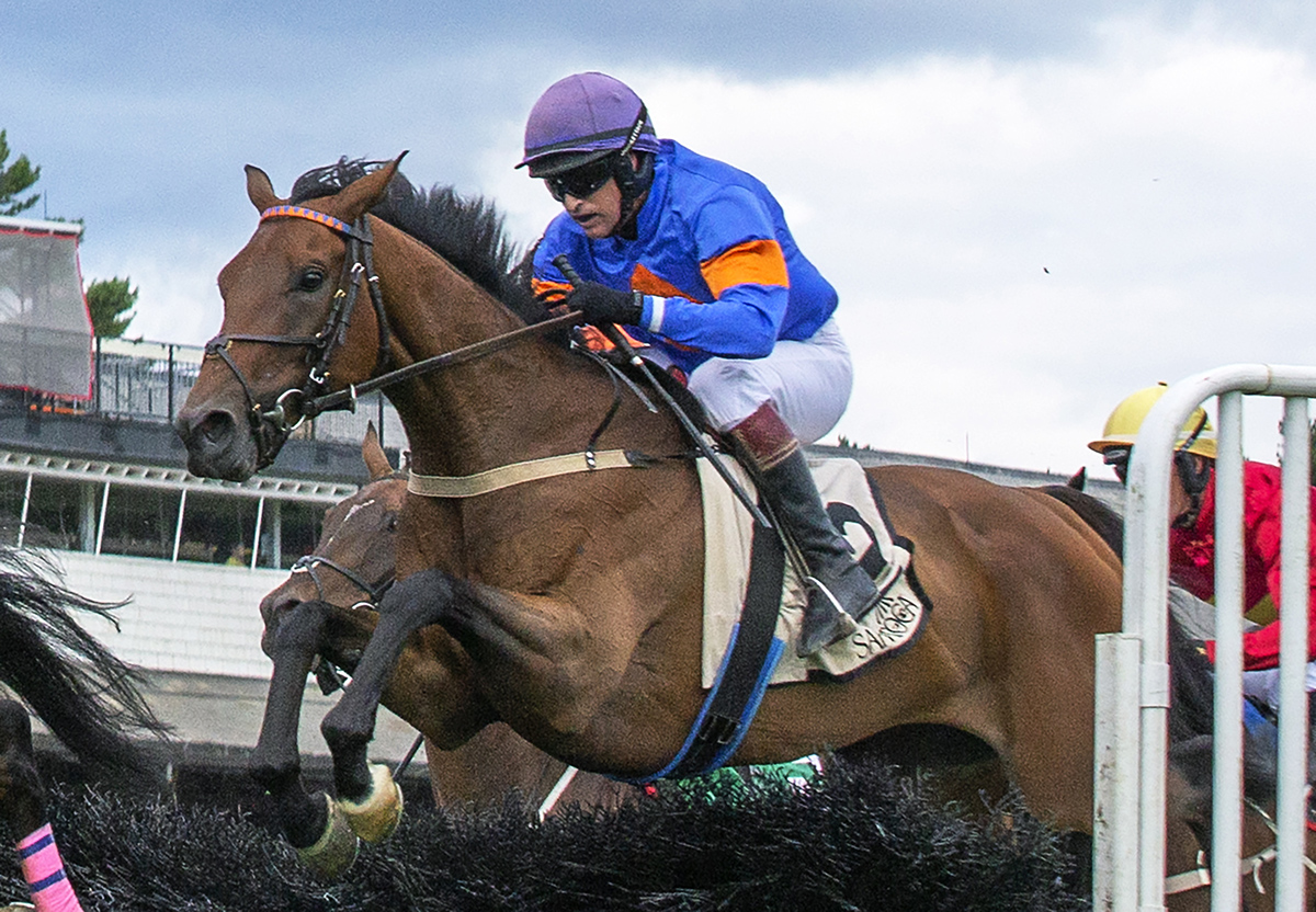 Optimus Prime wins the 2018 New York Turf Writers Cup