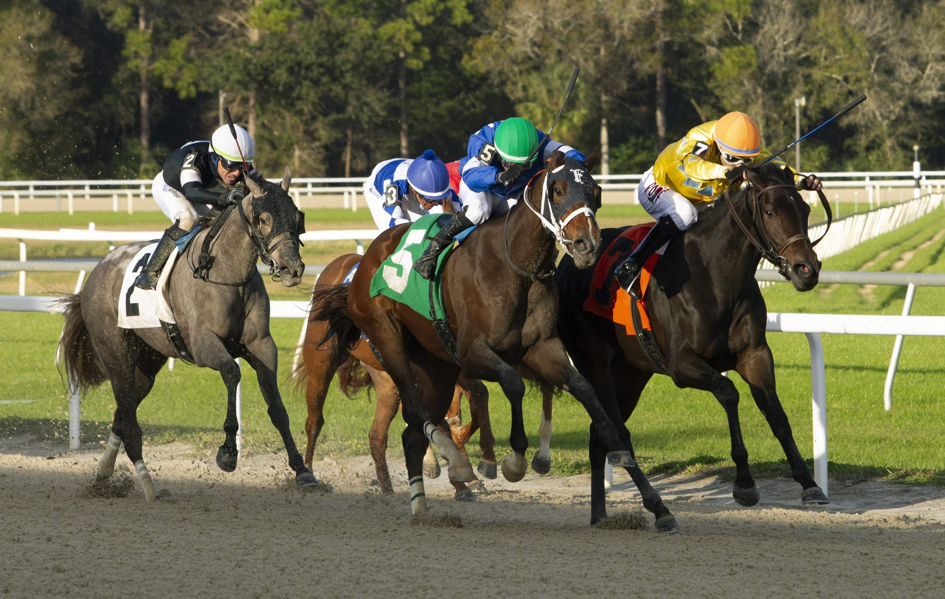 Opus Forty Two - Gasparilla S. 2023
