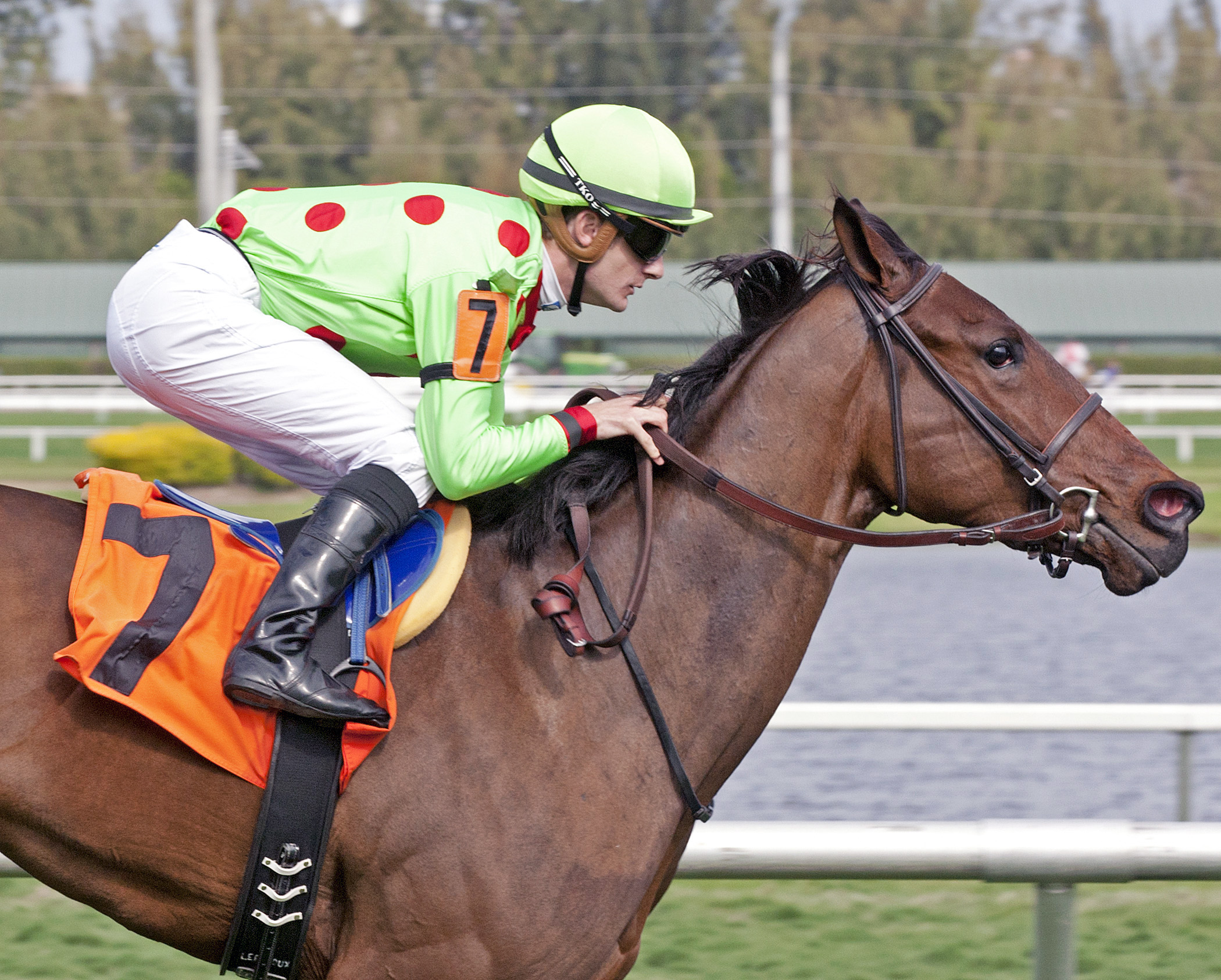 Oration wins a maiden race
