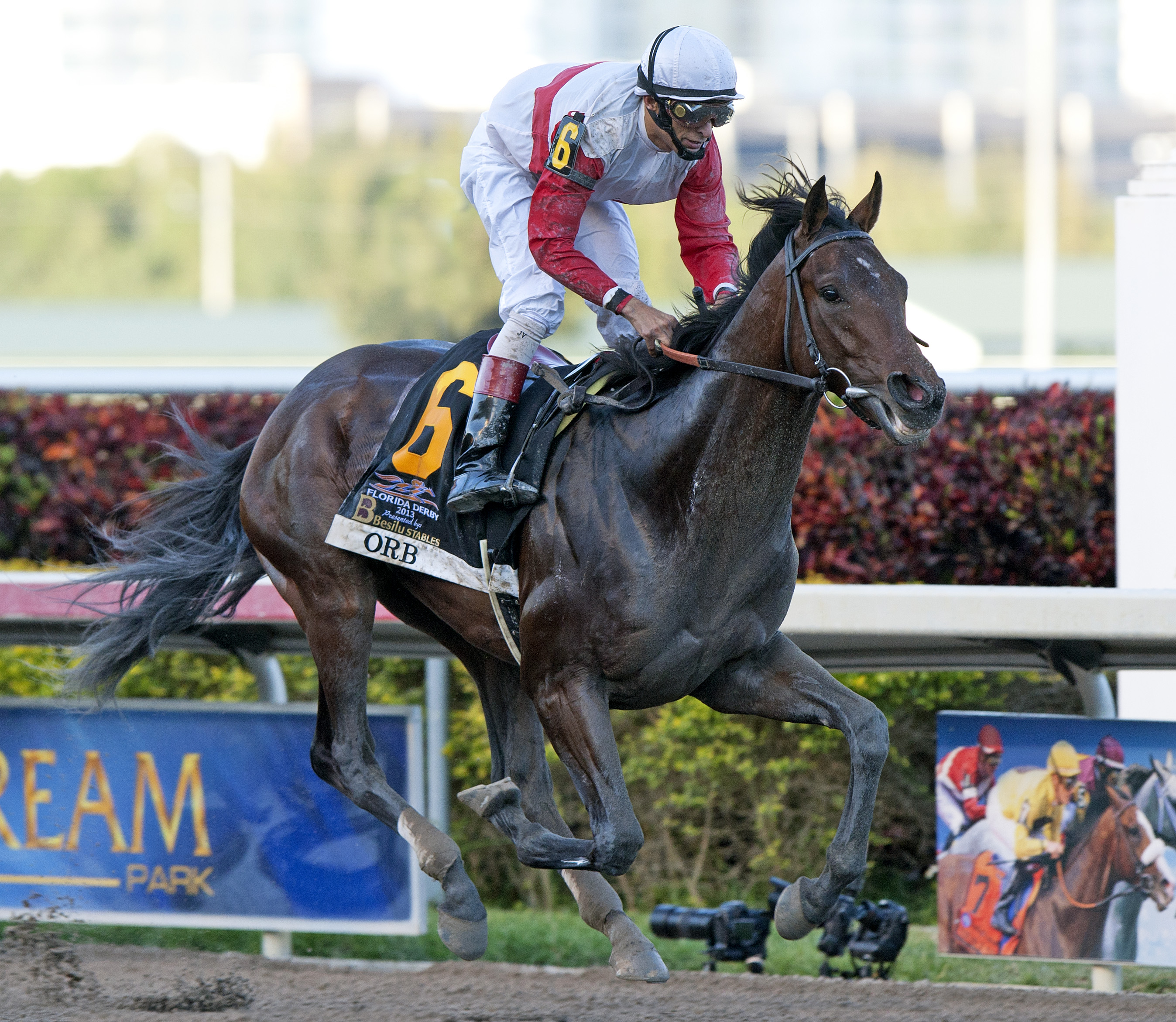 Orb, Florida Derby