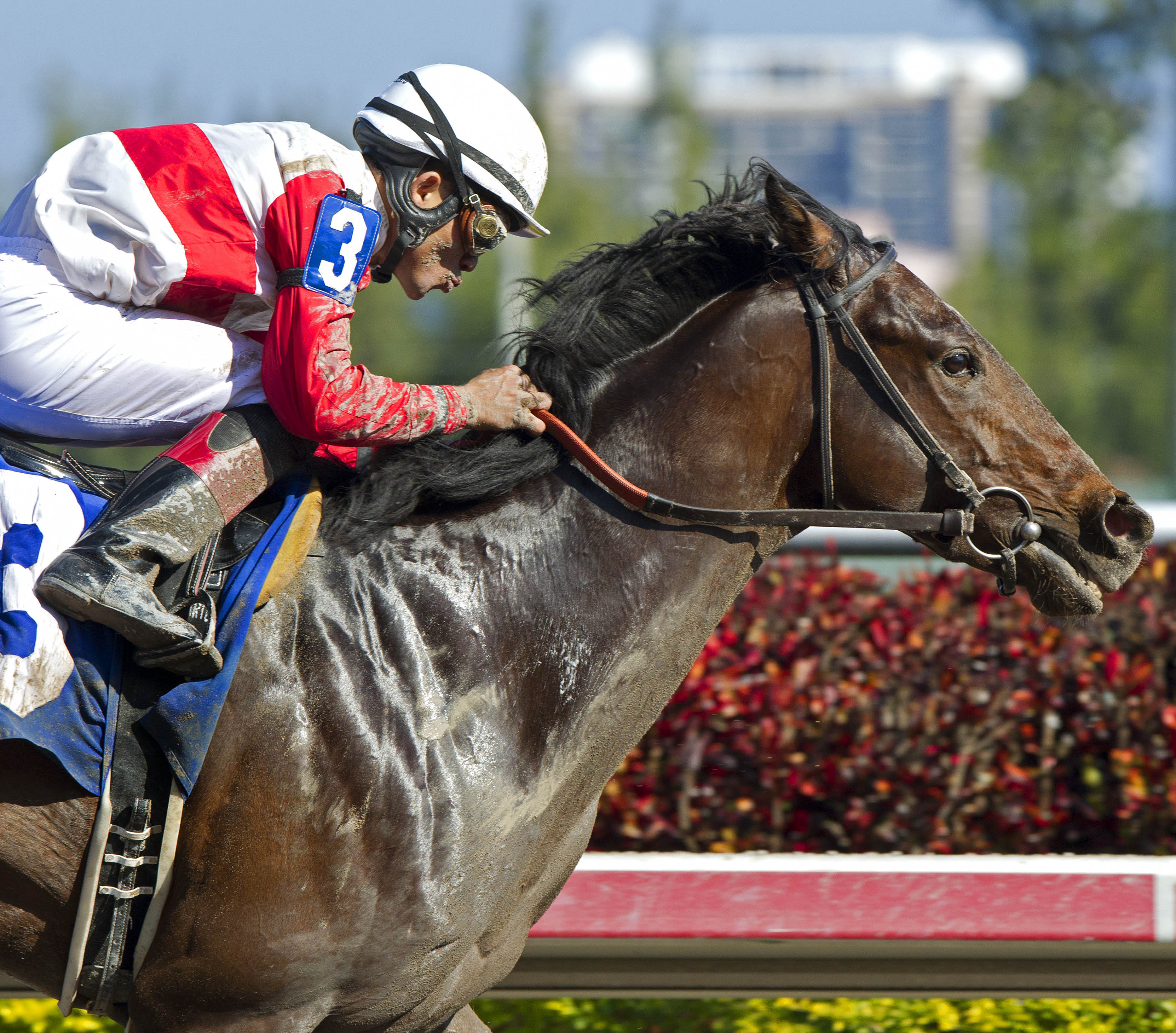 Orb/allowance race