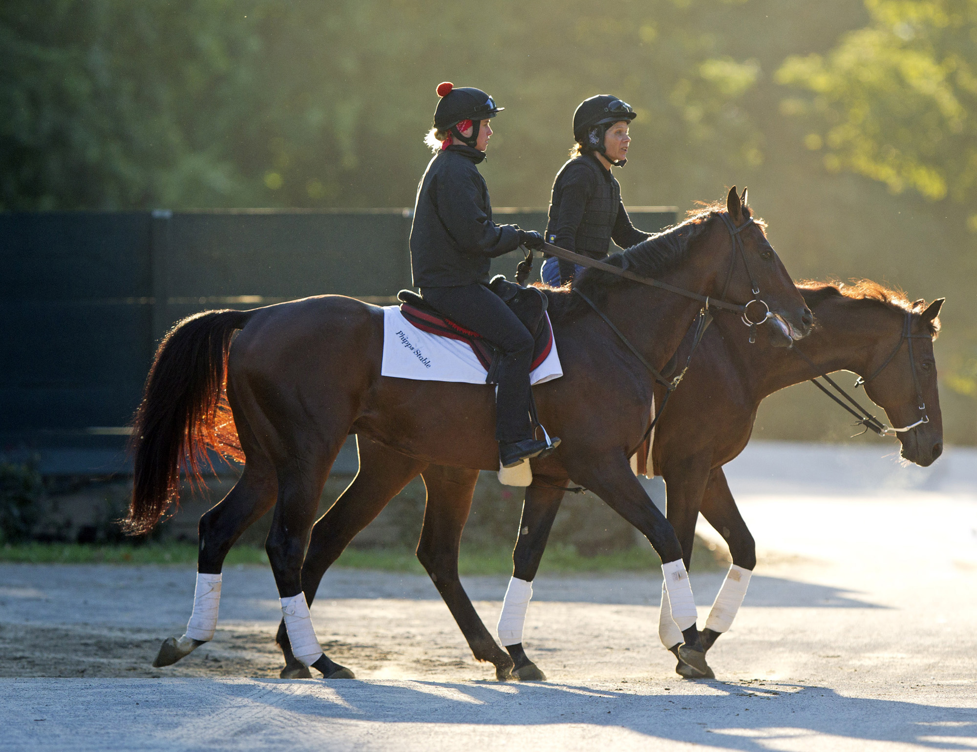 Orb at Saratoga Race Course