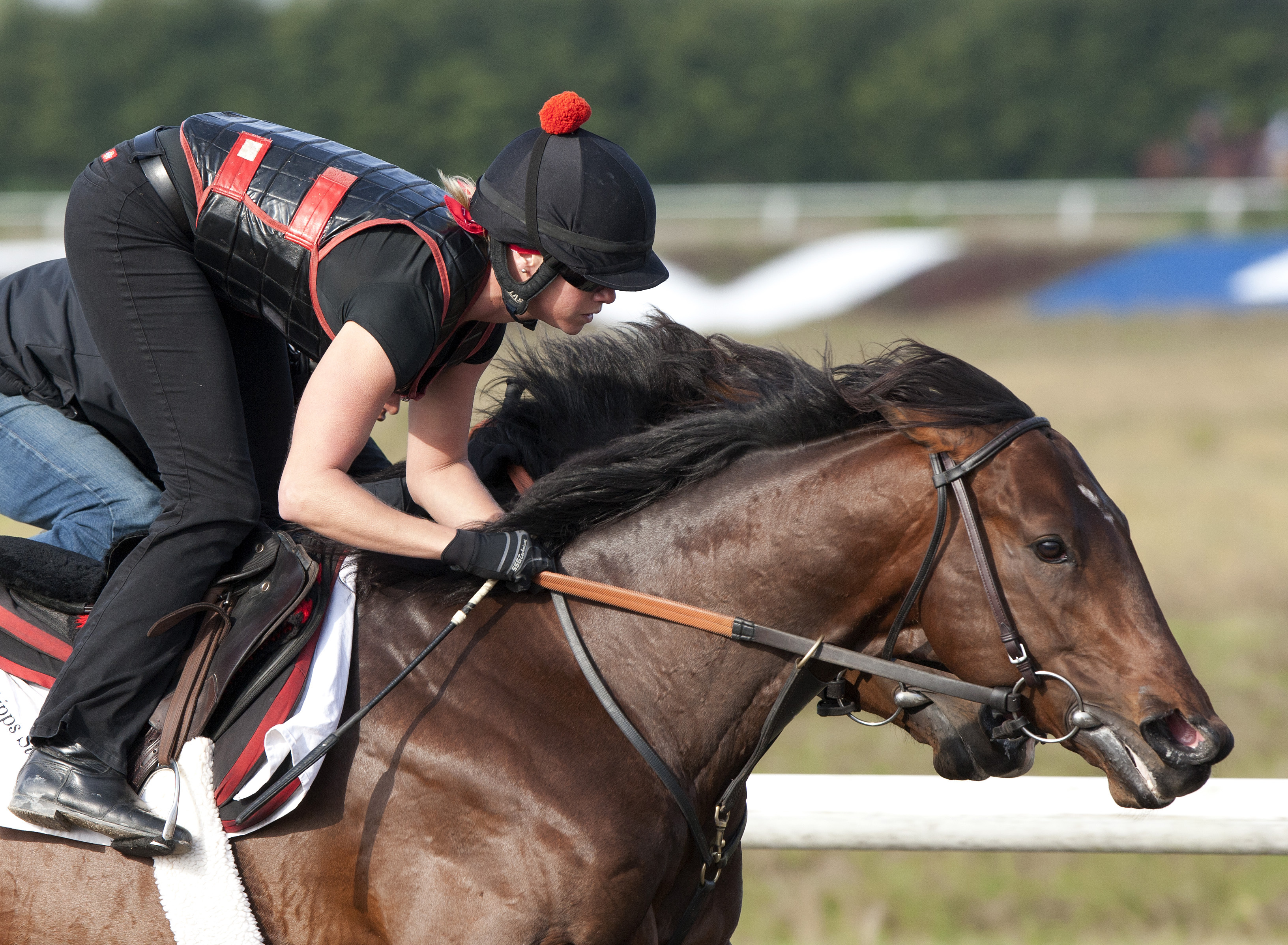 Orb at Payson Park