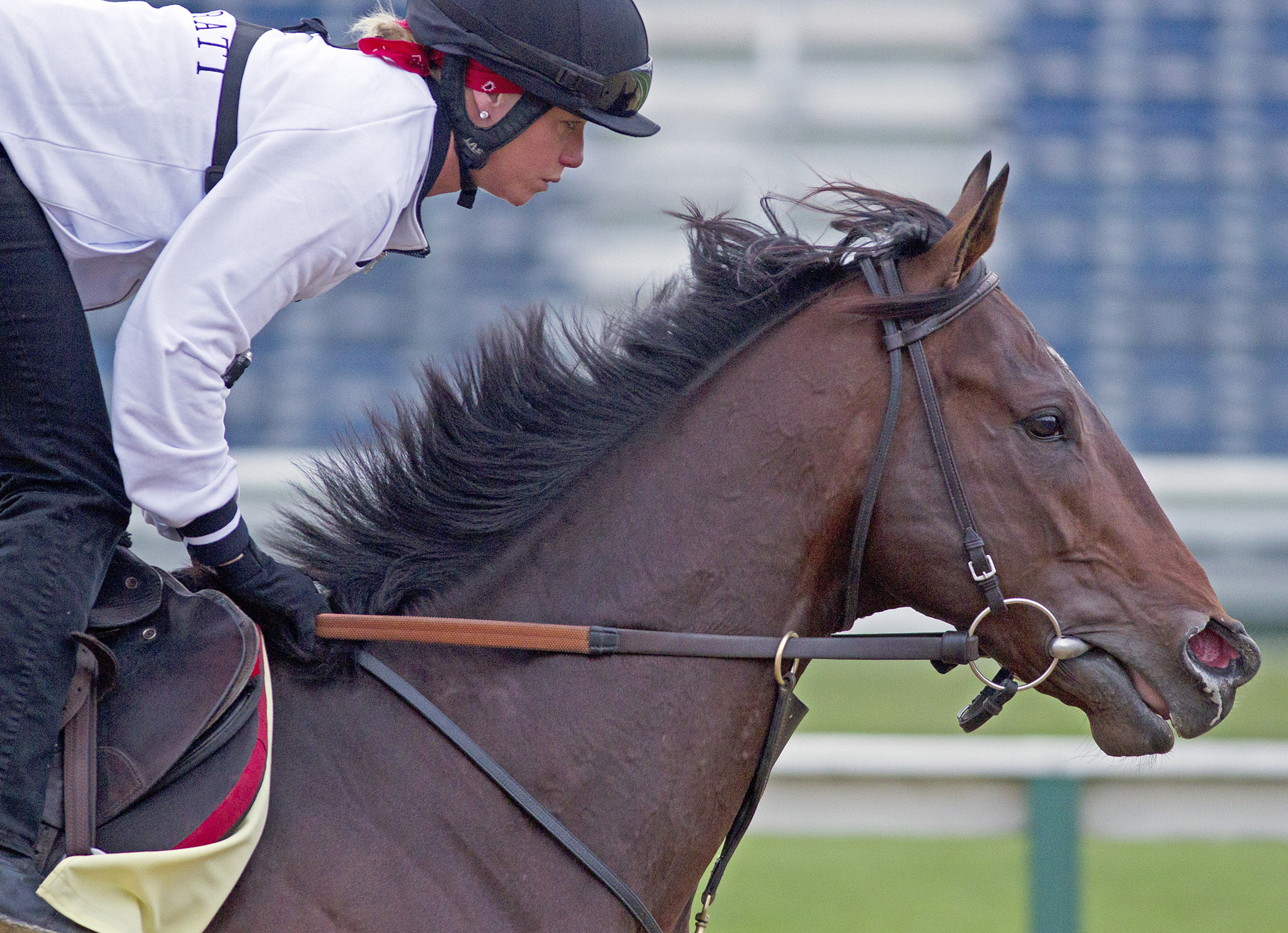 Belmont Stakes: Orb's strong gallop has McGaughey wanting to run, image size:2043x1481