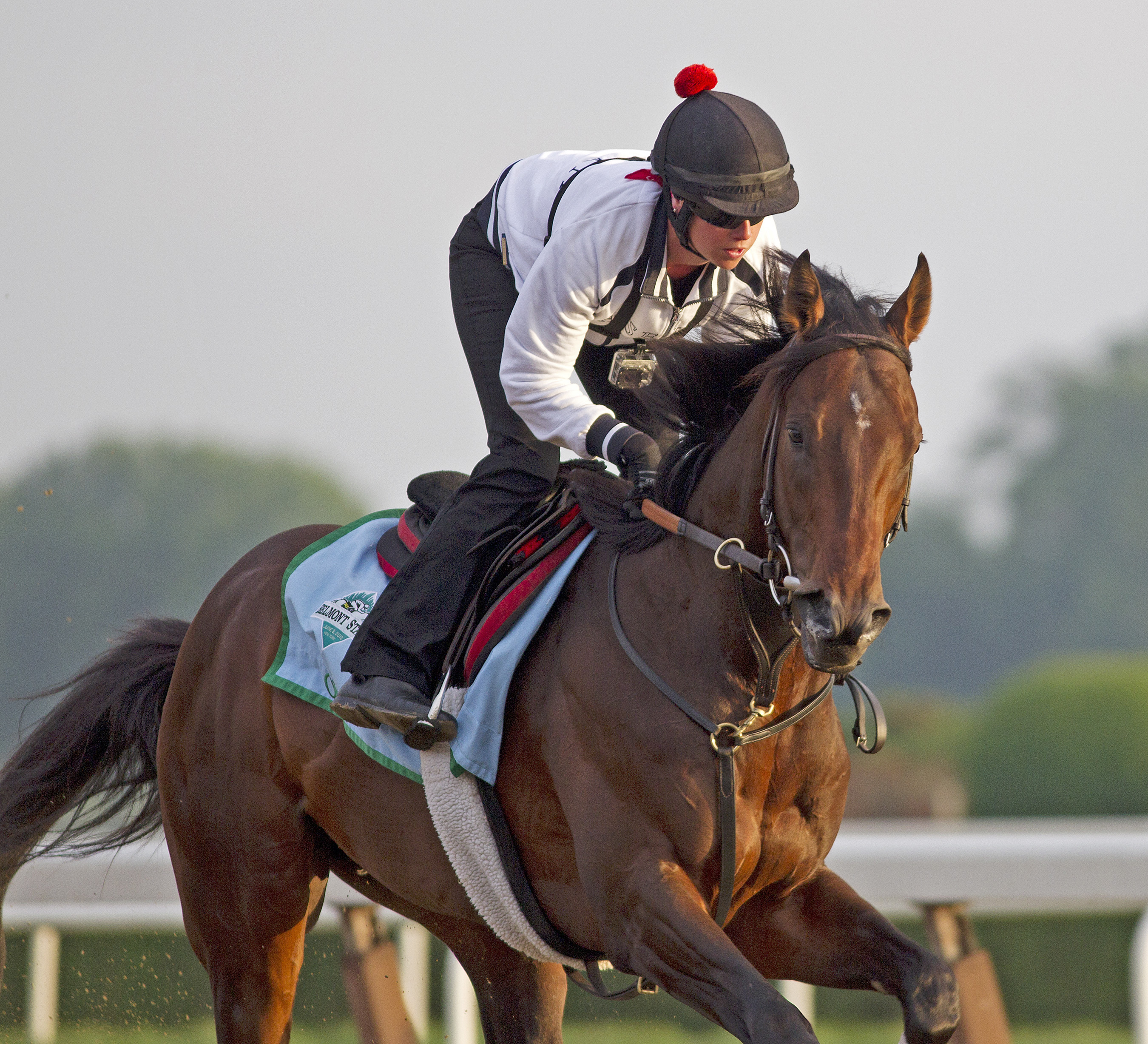 Orb training at Belmont Park