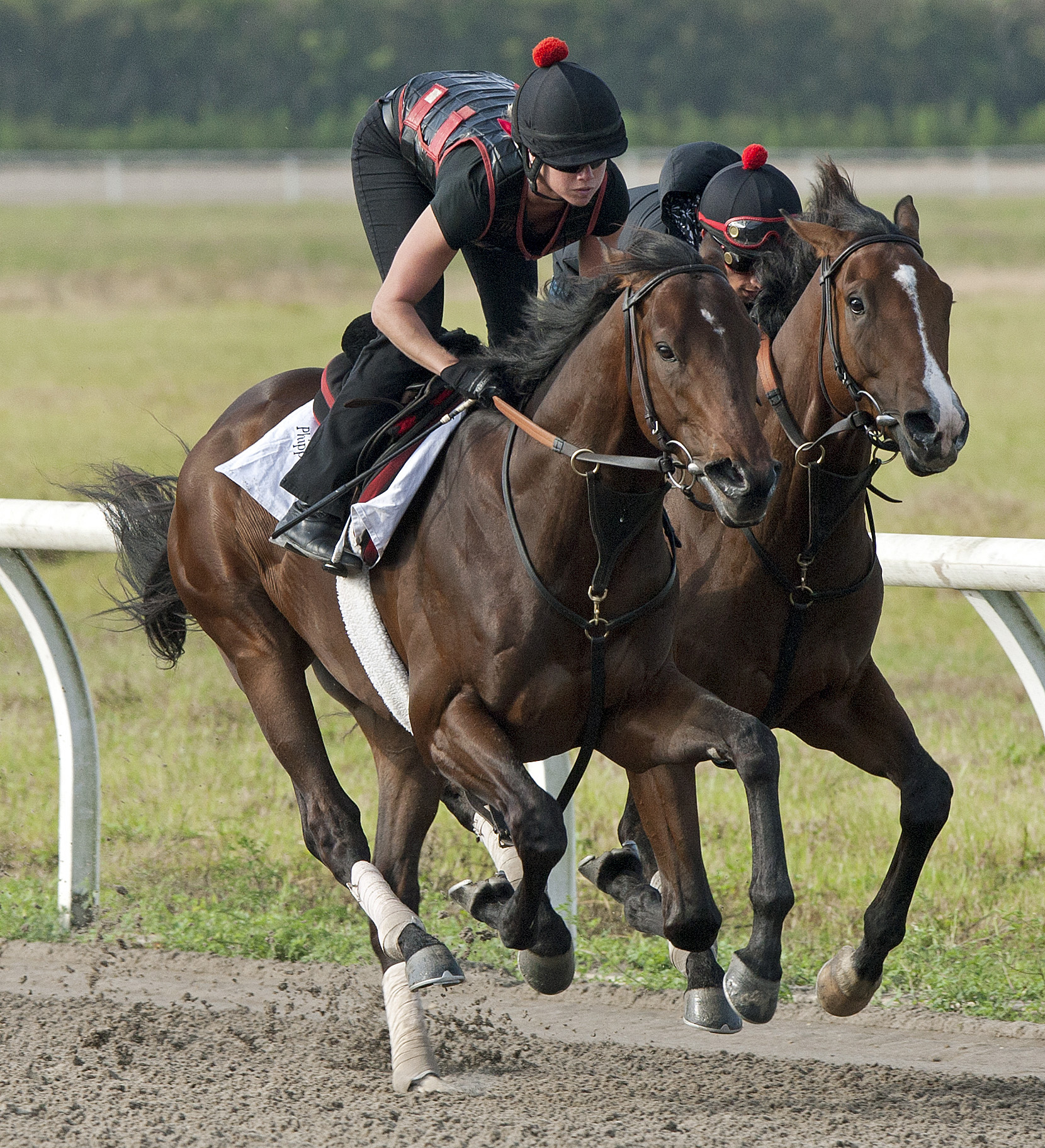Orb working in company