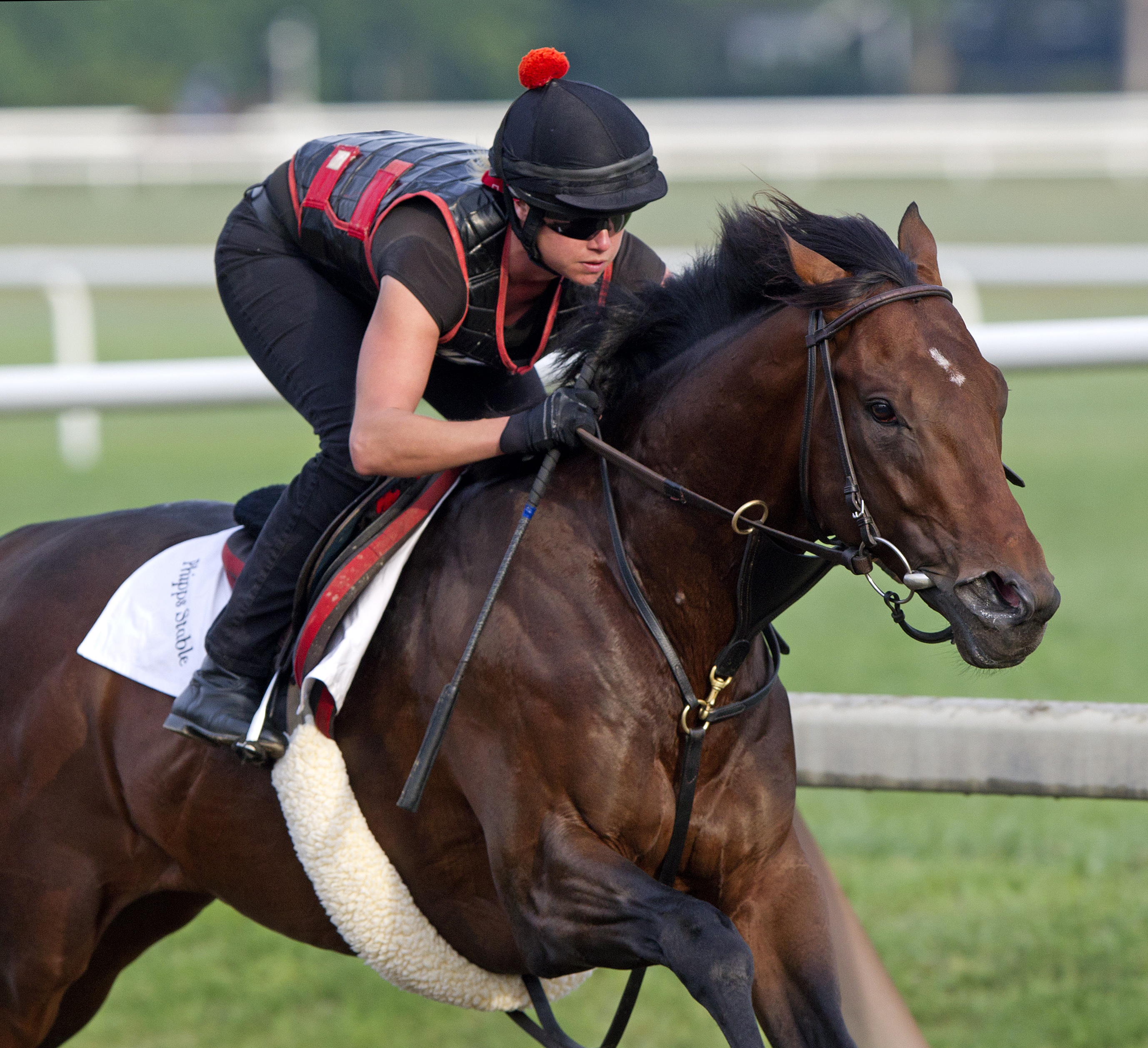 Orb training