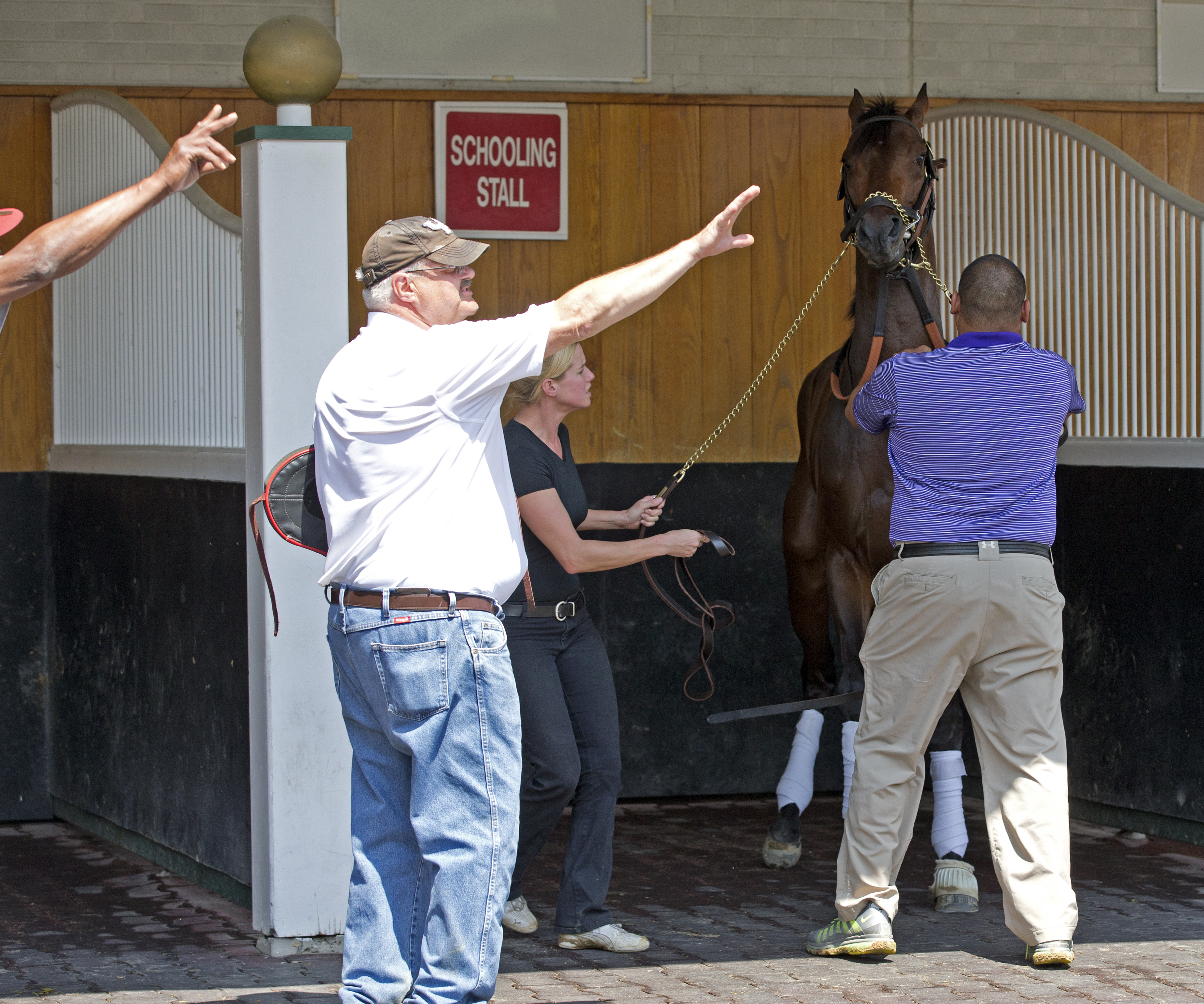 Orb upset in paddock