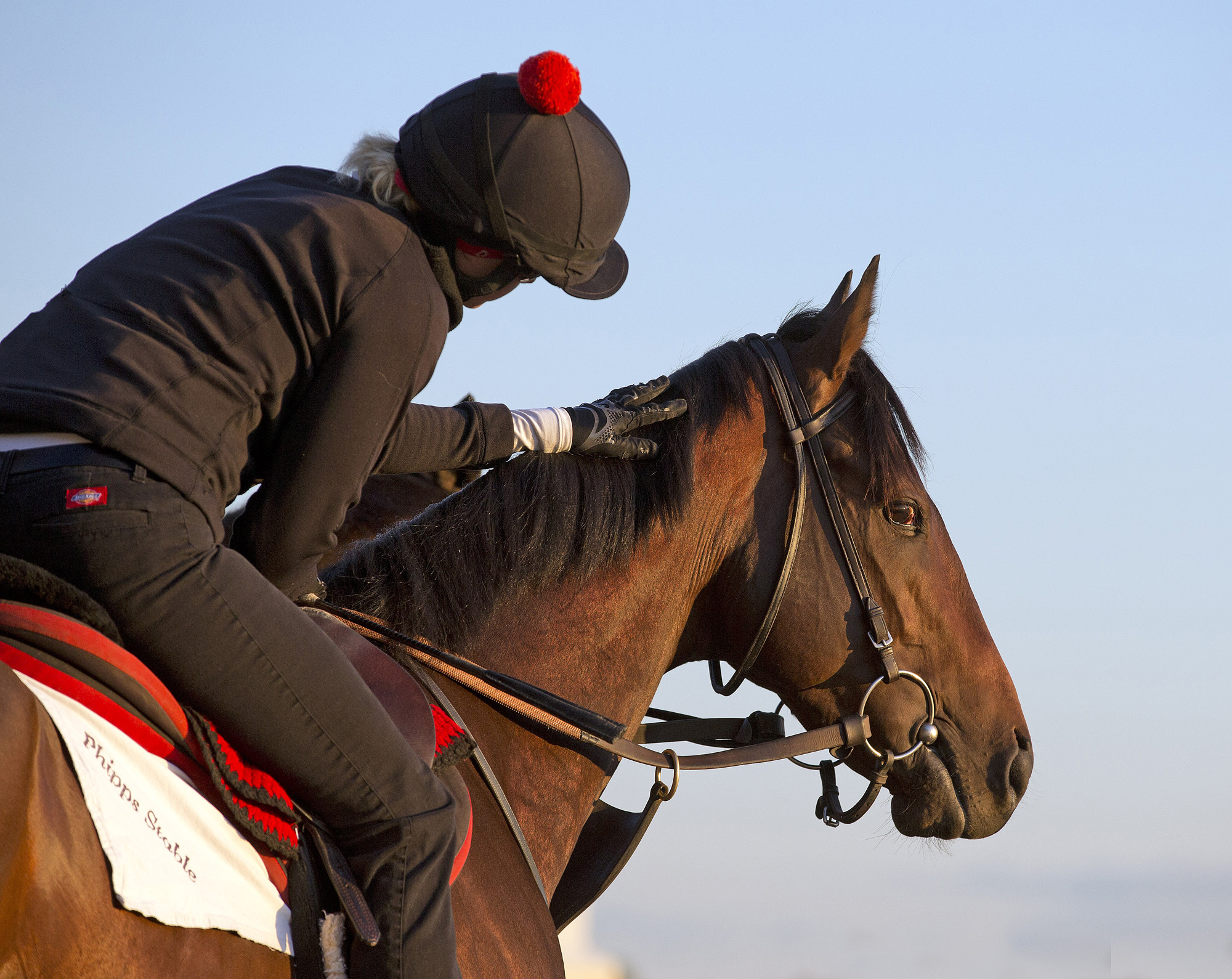 Preakness Stakes: Orb tops nine entrants; post-position draw 6 p.m. Eastern