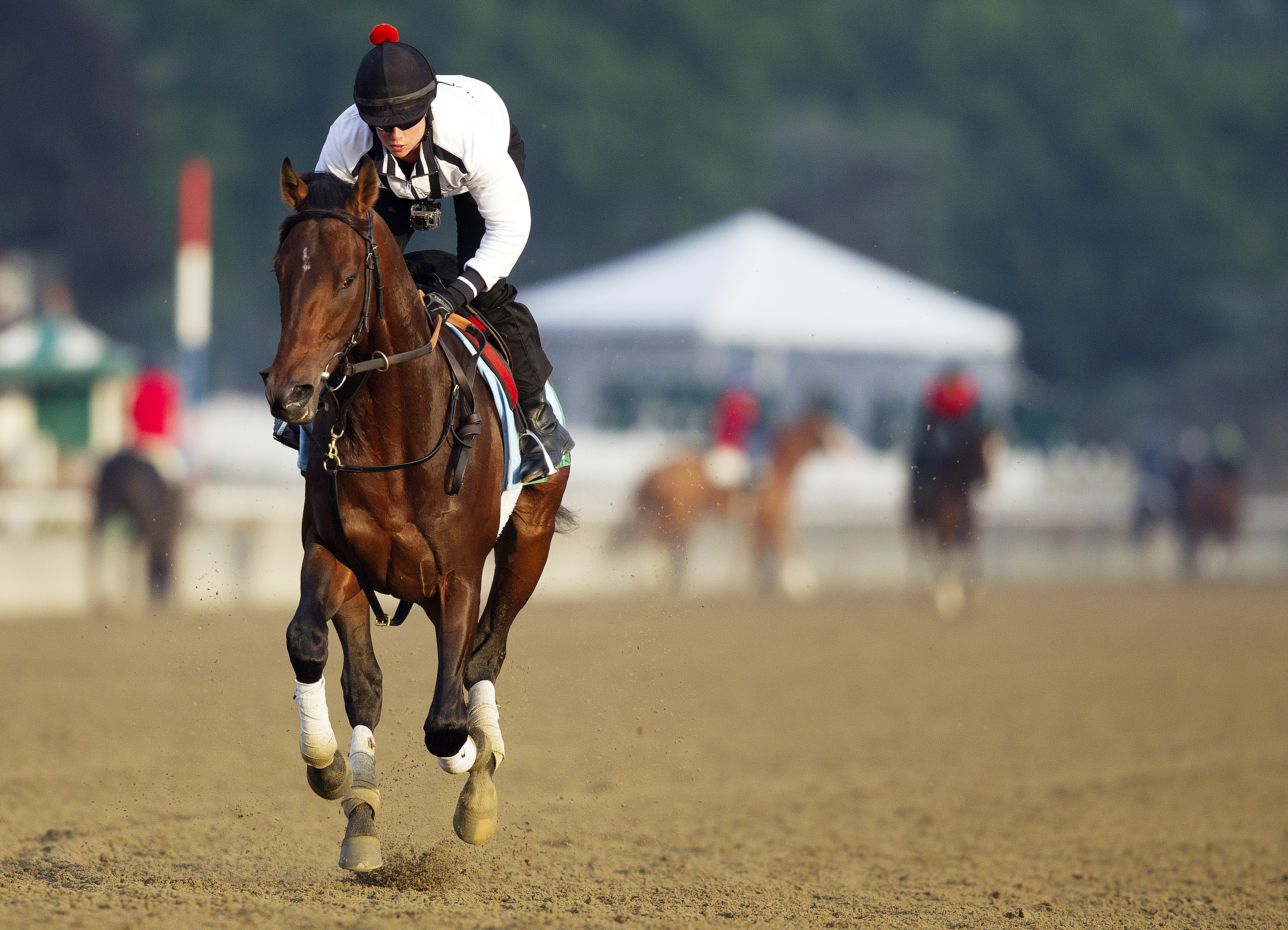 Orb at Belmont on June 6