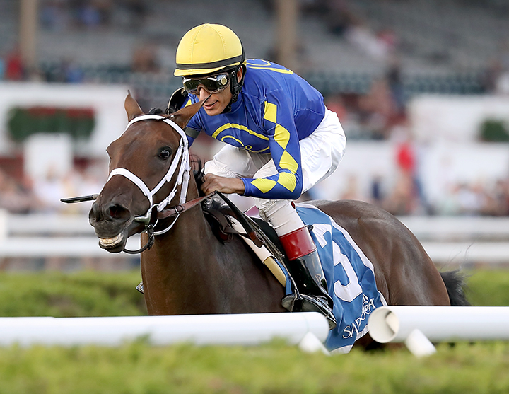 Orbolution wins the 2017 P. G. Johnson Stakes at Saratoga Race Course