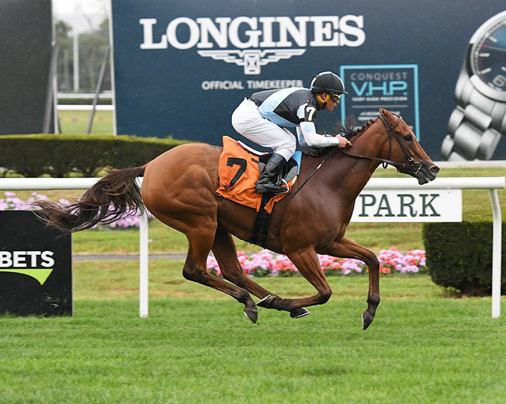 Orecchiette wins a Sept. 8 allowance race