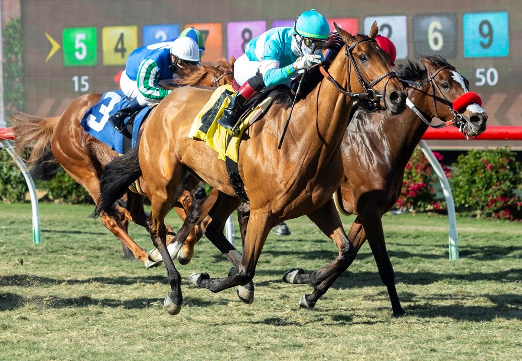 Orglandes (left) wins the Red Carpet Handicap at Del Mar.11-26-2020