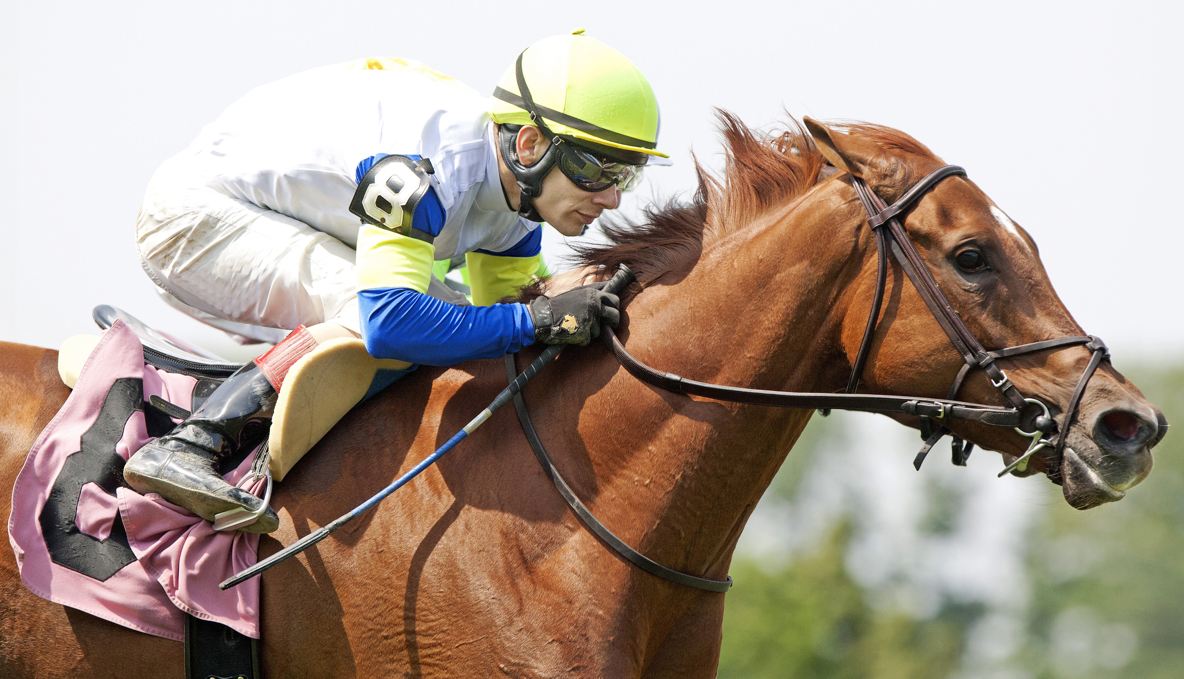 Orion Moon wins a 2013 allowance at Saratoga