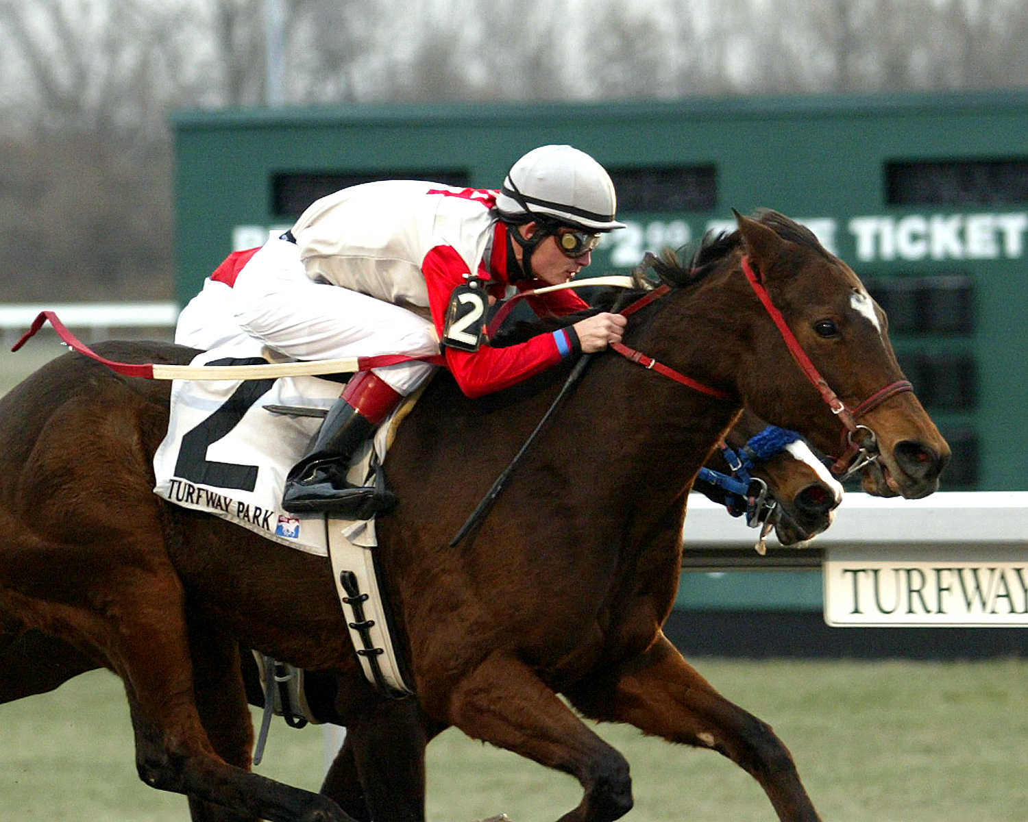 Orm/loose rein