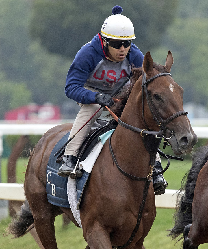 Orsay trains at Saratoga Race Course on Aug. 18