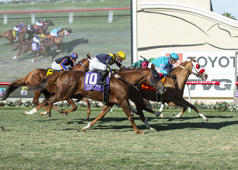 Oscar Dominguez wins the 2019 Hollywood Turf Cup