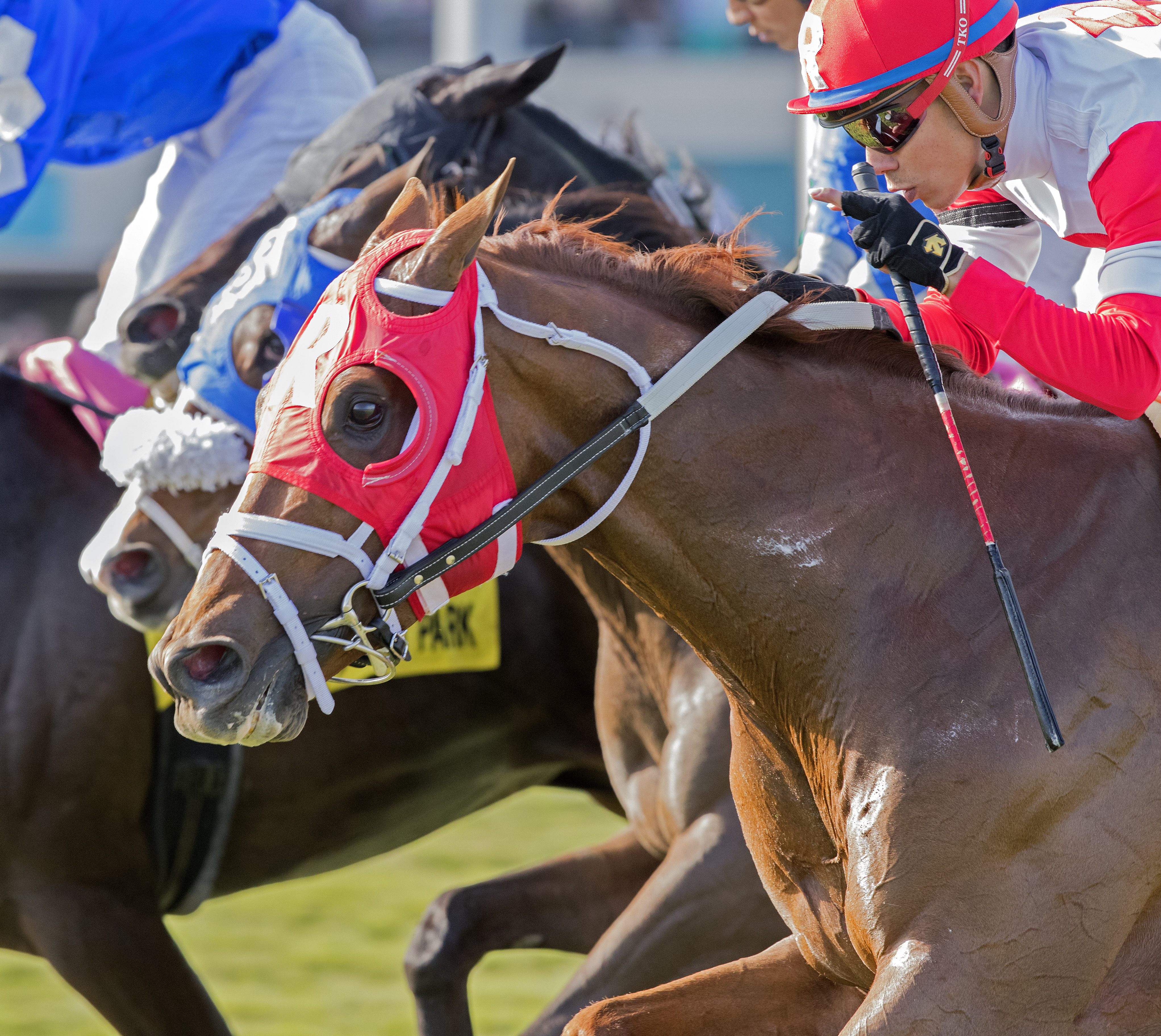 Oscar Nominated wins 2018 McKnight Handicap