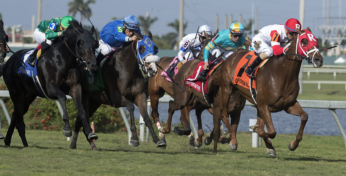 Oscar Nominated wins the 2018 W. L. McKnight