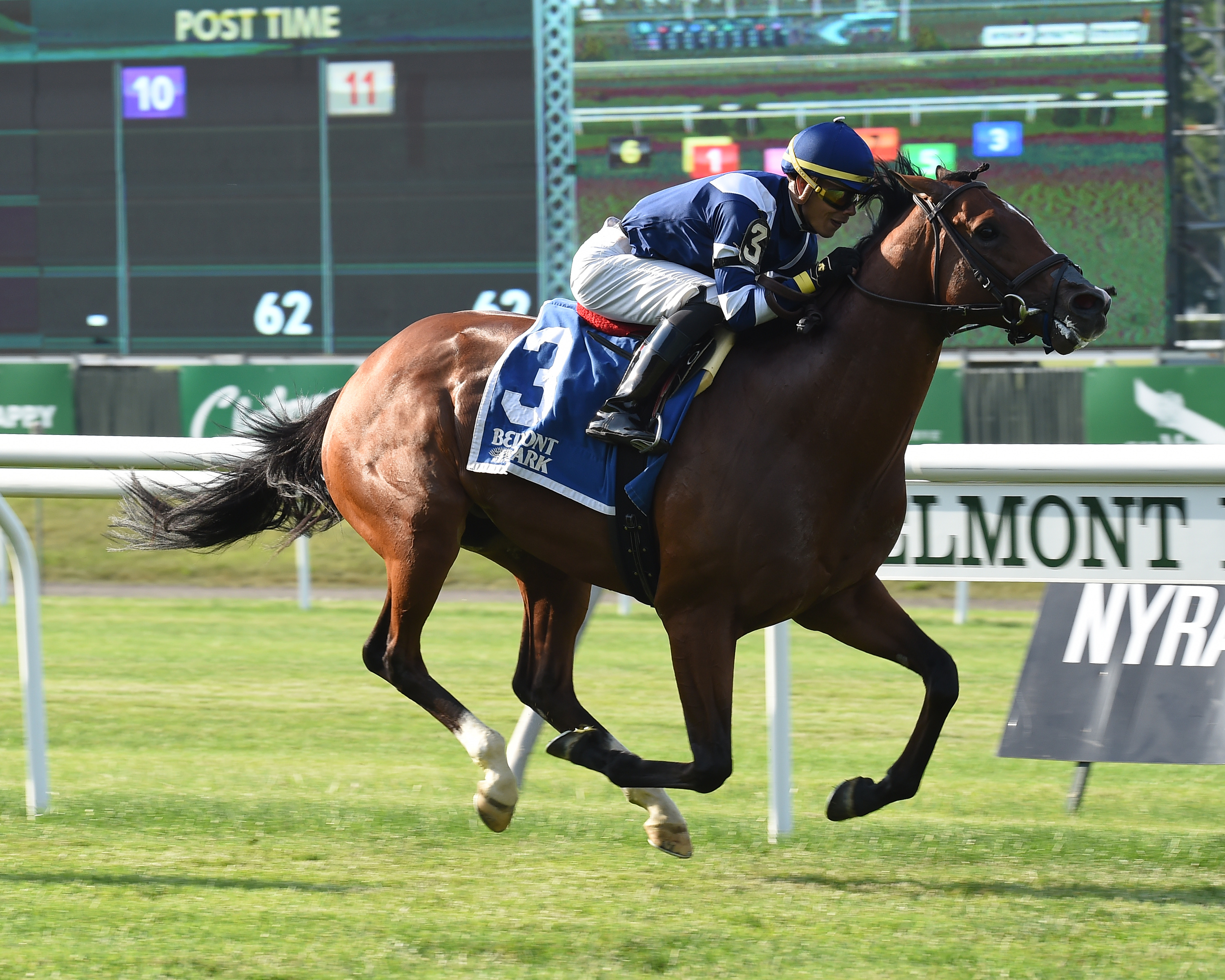 Oscar Performance wins the Poker Stakes