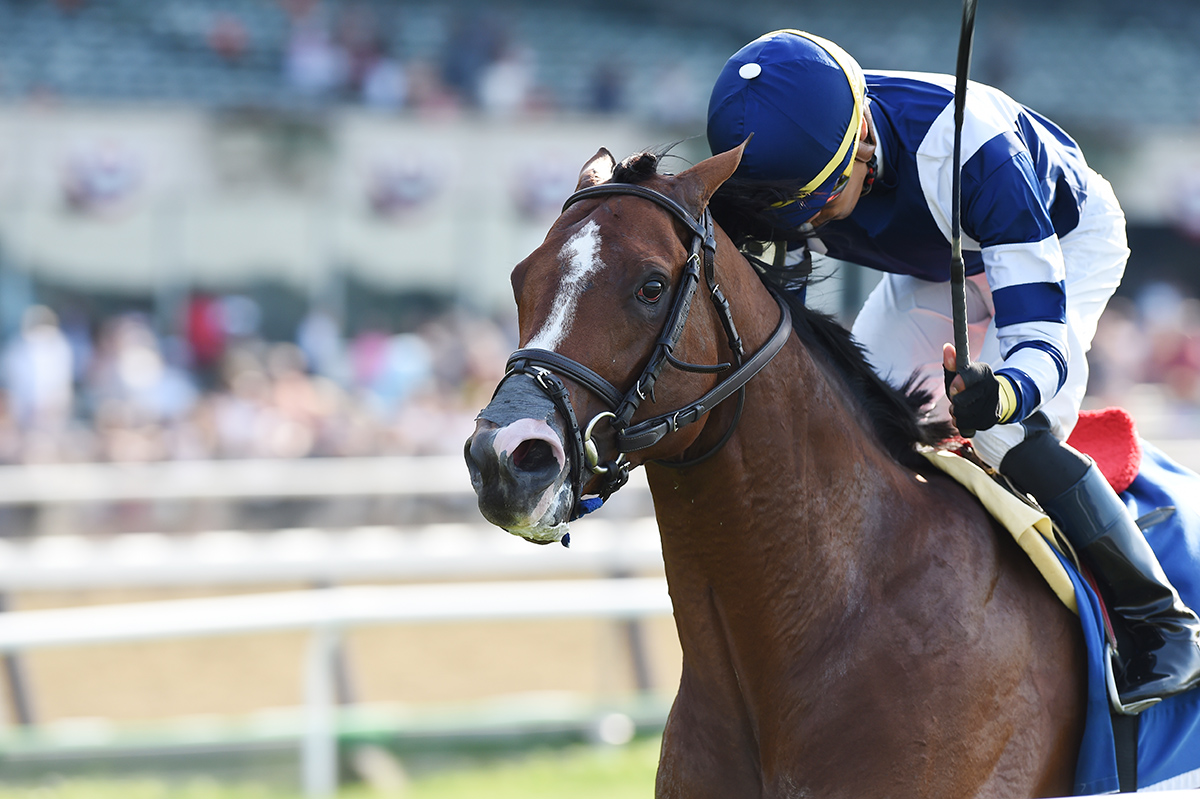 Oscar Performance wins the 2018 Poker Stakes