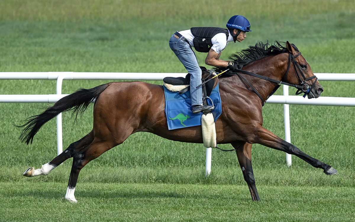 Oscar Performance trains at Saratoga on Aug. 27