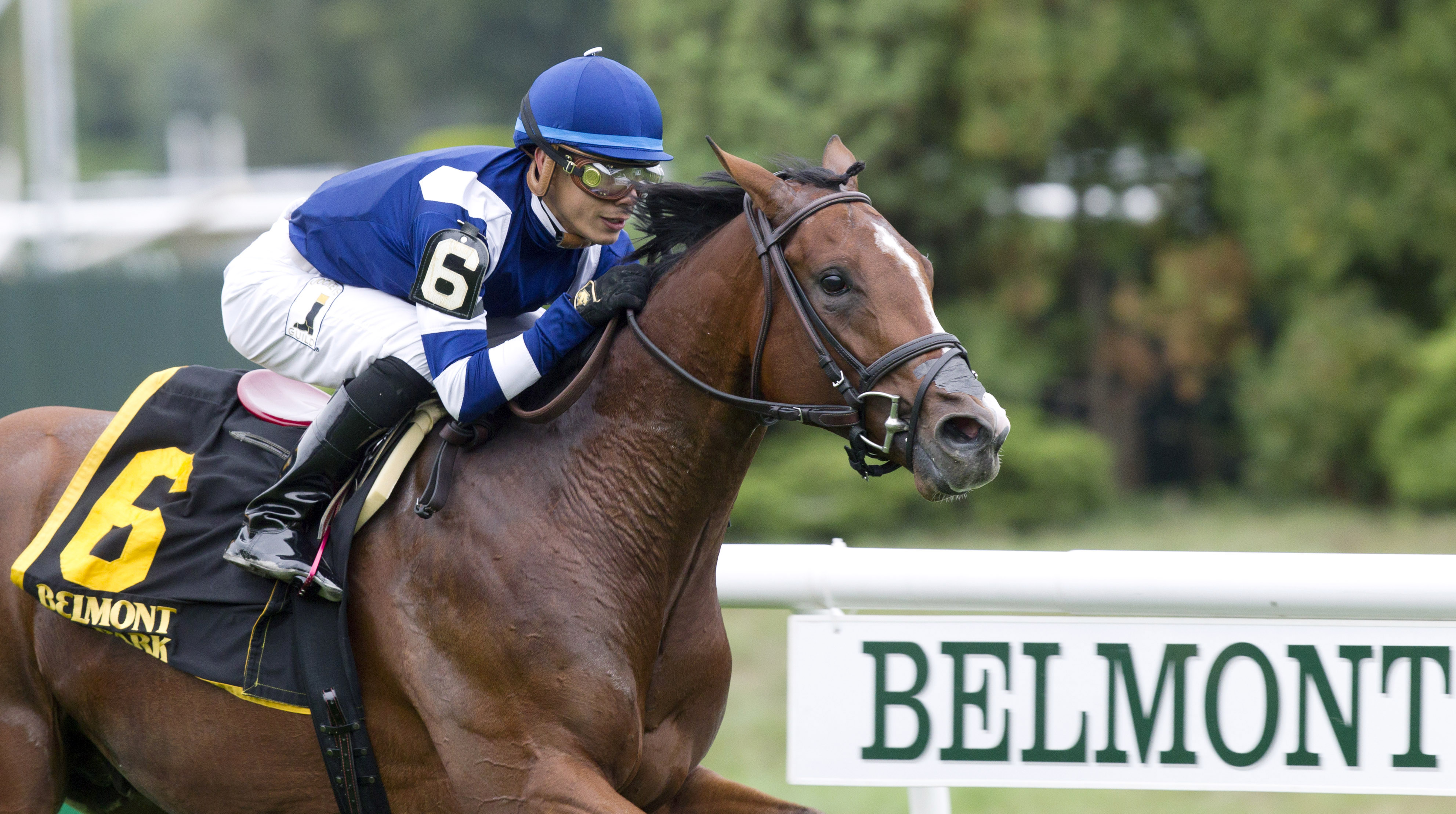 Oscar Performance wins the Pilgrim Stakes