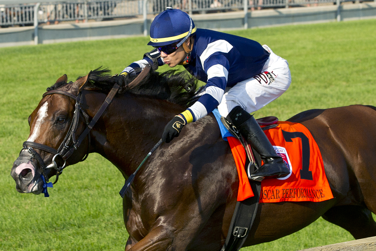 Oscar Performance wins the 2018 Woodbine Mile