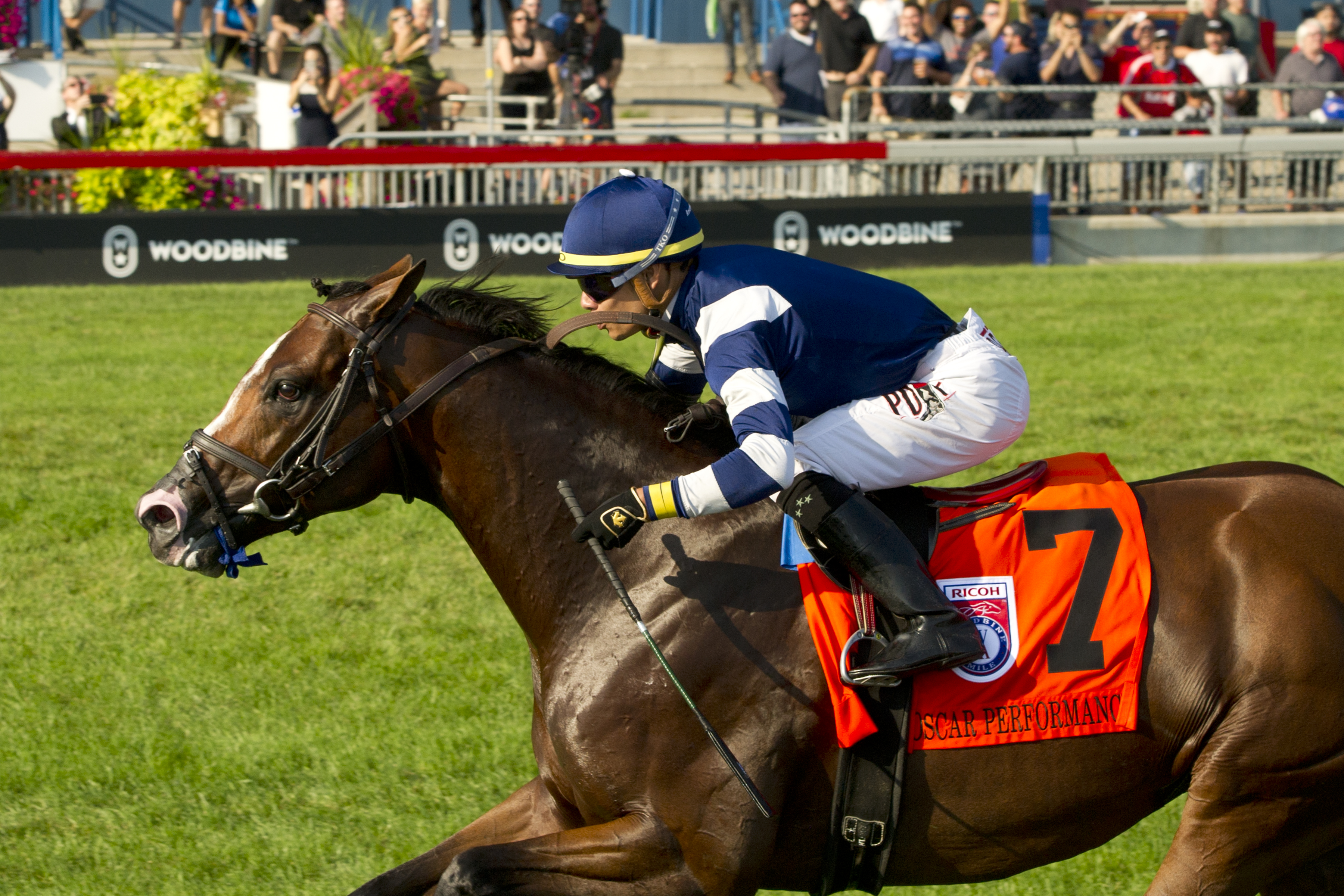 Oscar Performance wins the 2018 Woodbine Mile