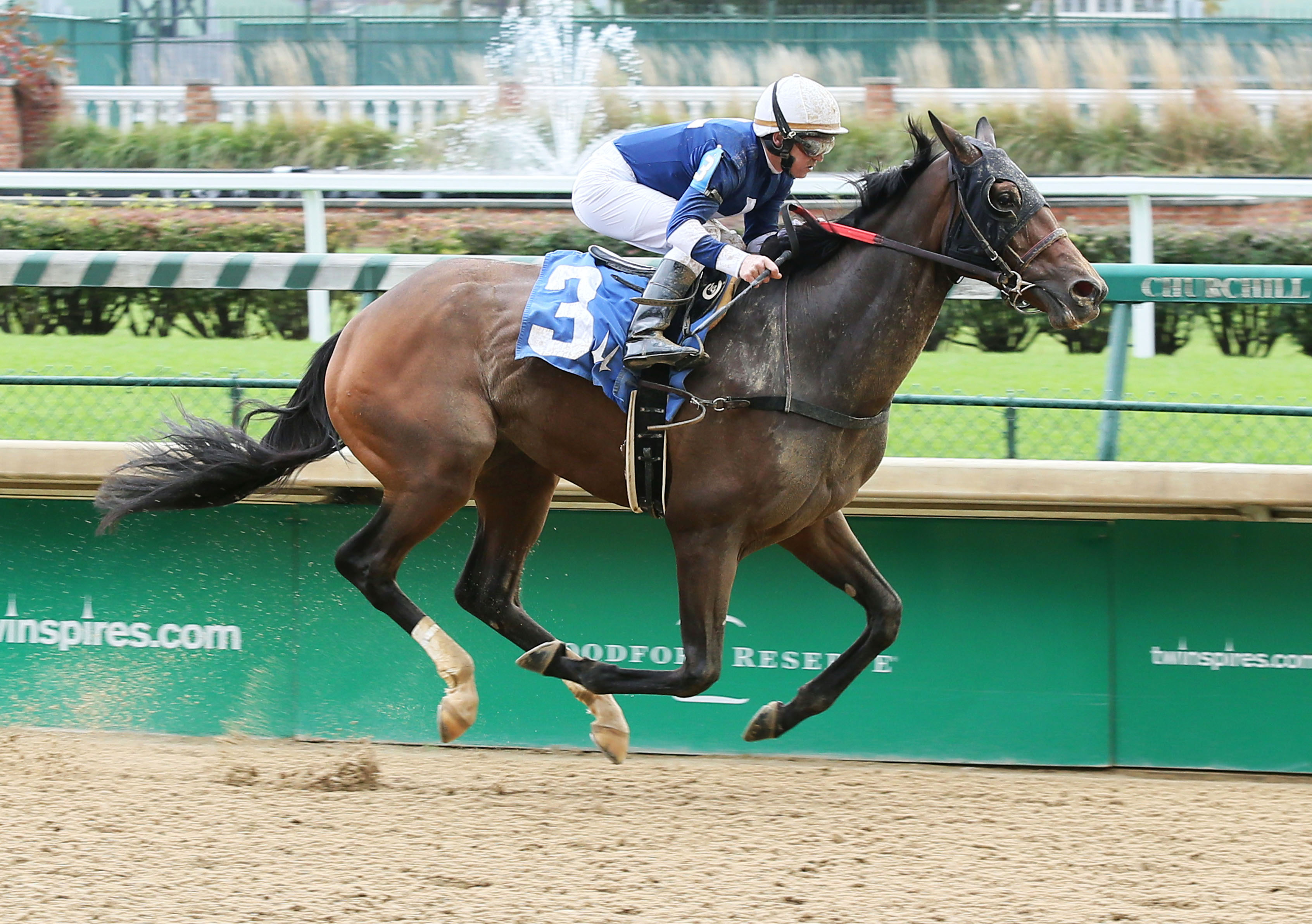 Ostentation wins a claiming race at Churchill on Nov. 2