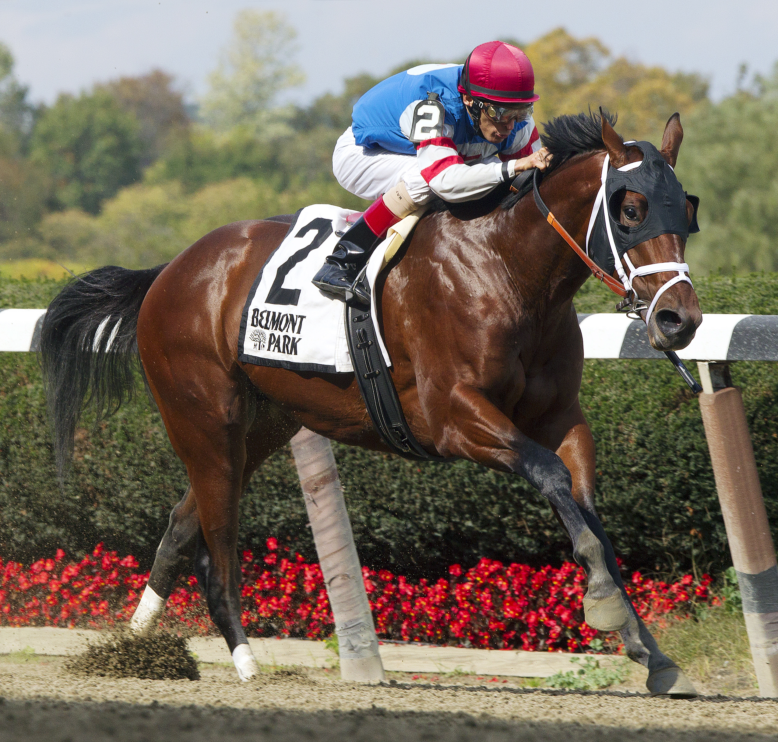 Ostrolenka wins the Sleepy Hollow