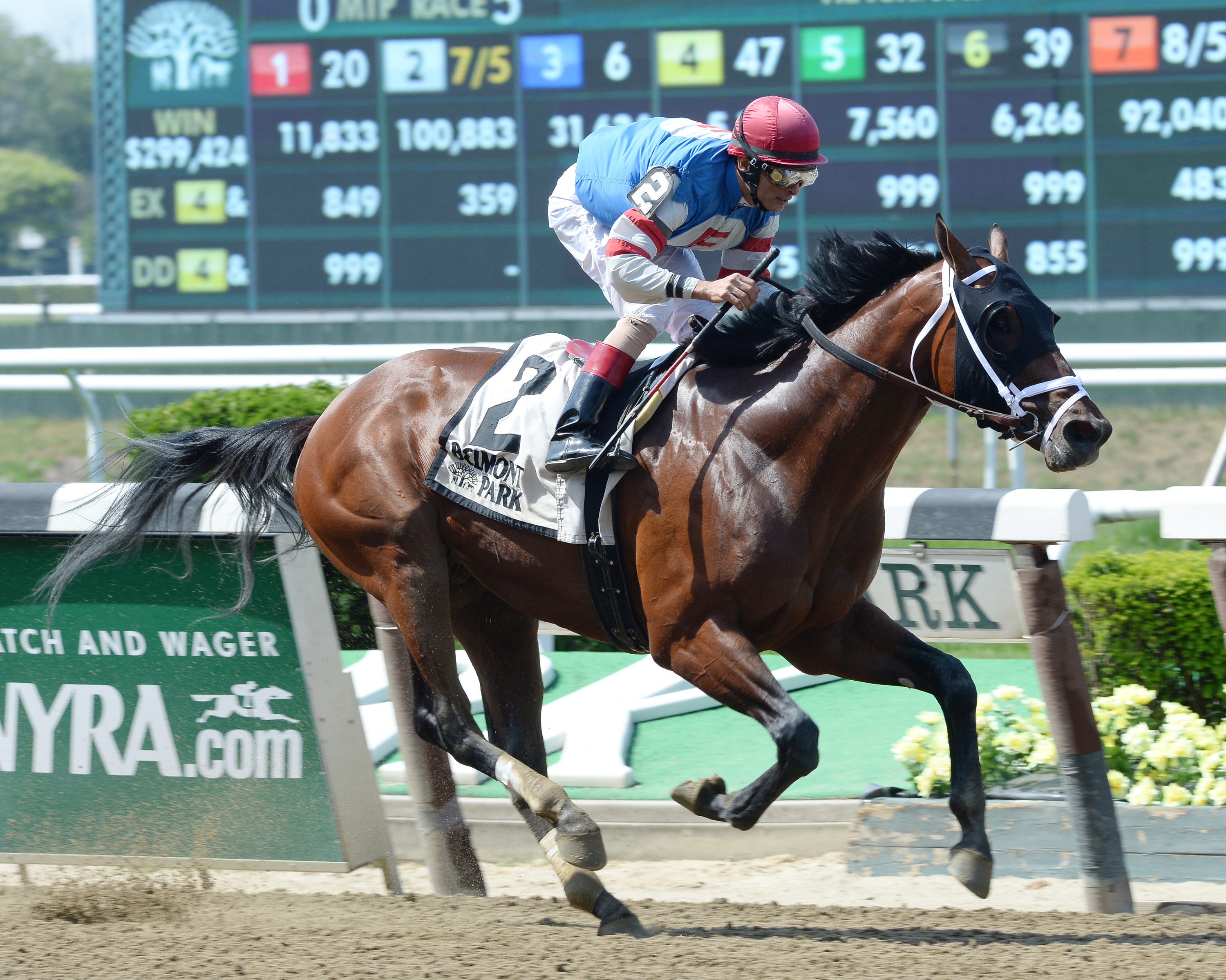 Ostrolenka wins the Mike Lee