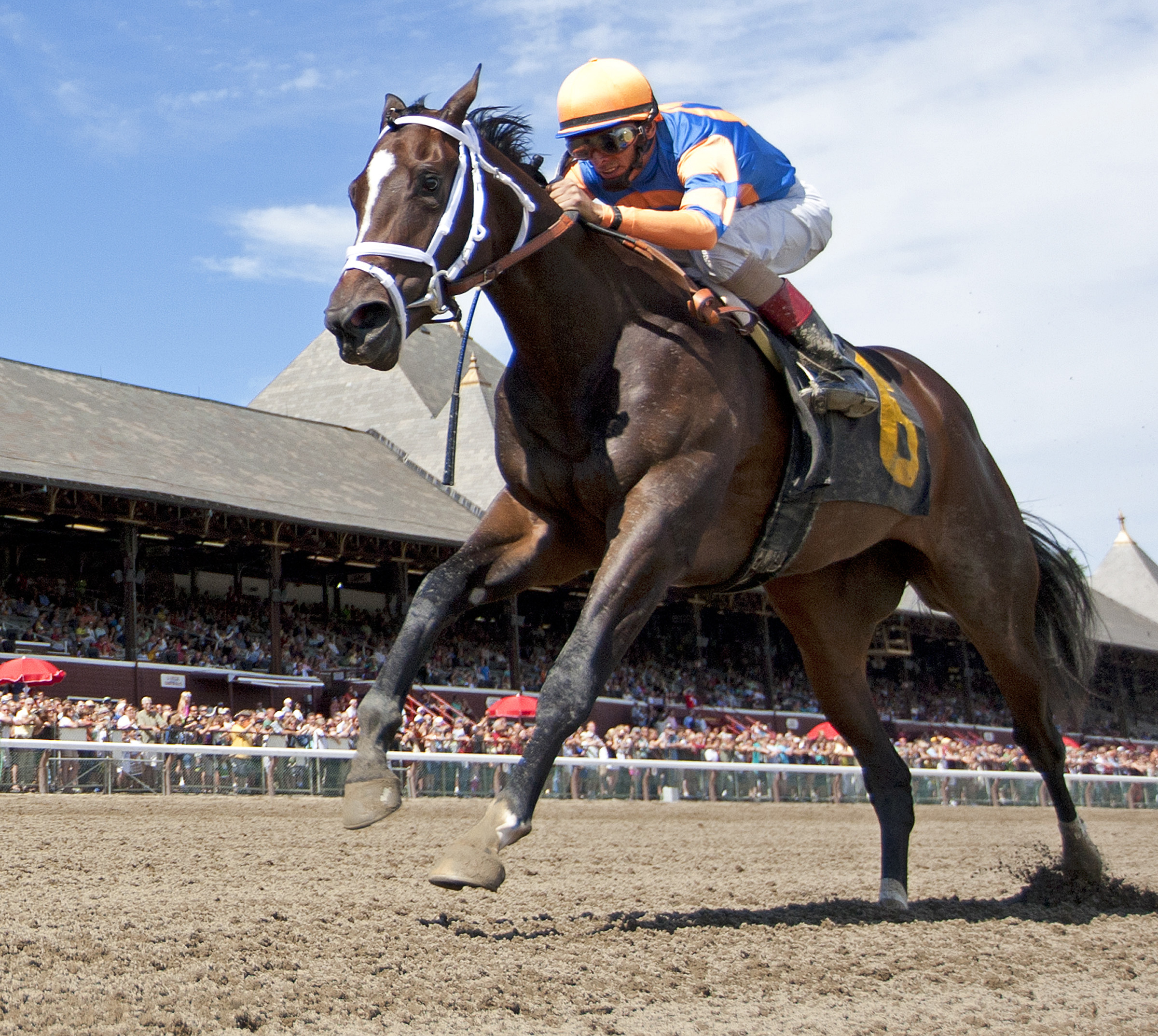 Our Amazing Rose wins a maiden race