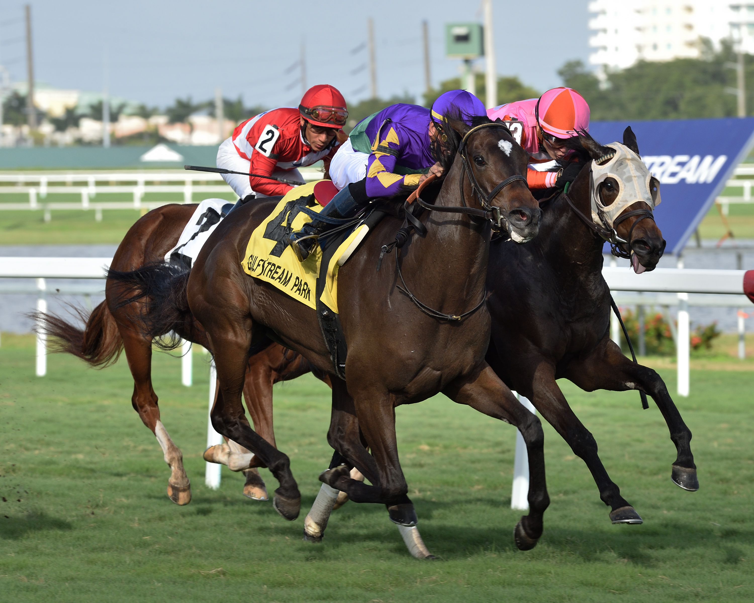Our Bay B Ruth (left) defeats Isla Road in the Tropical Park Oaks.