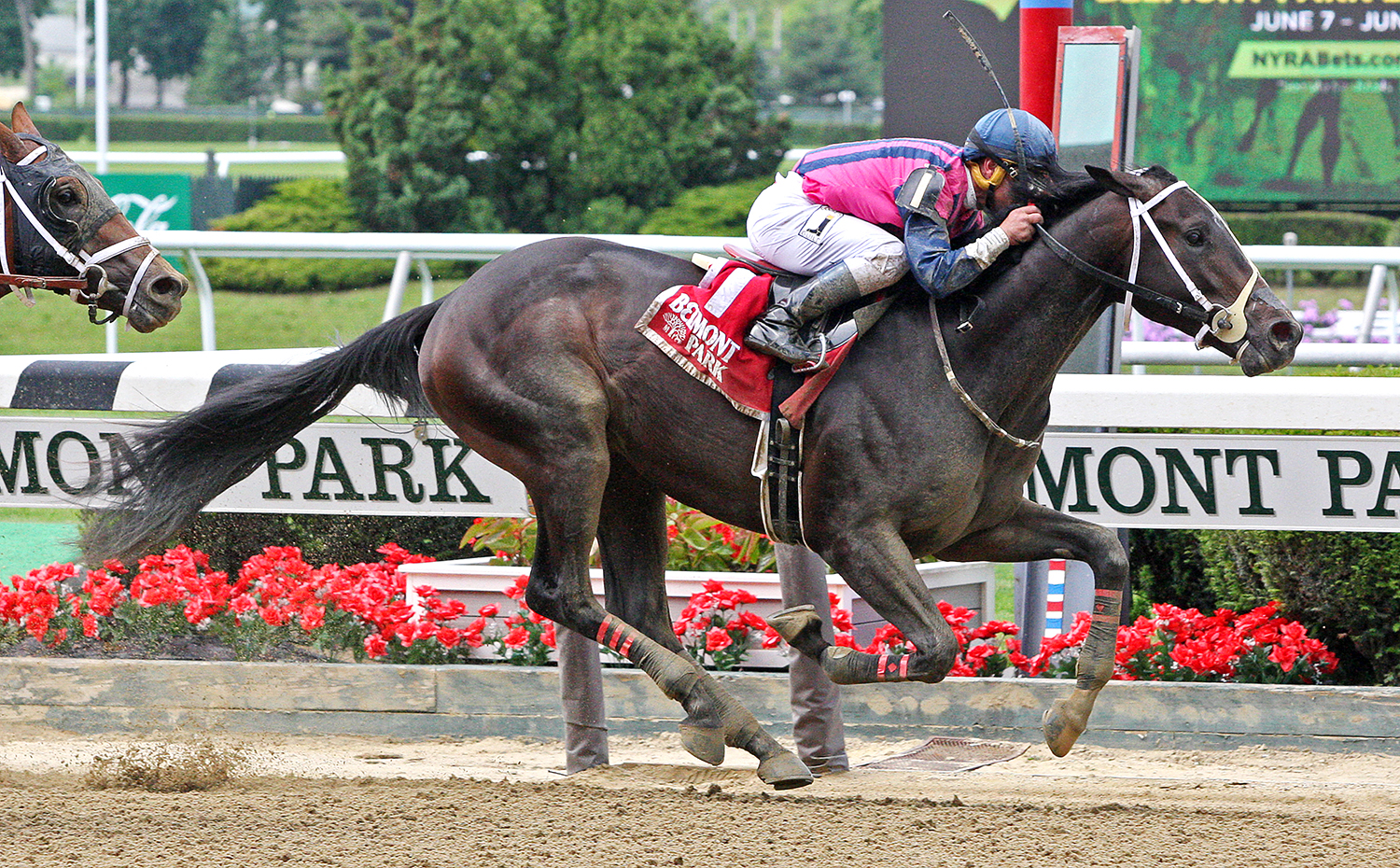 Our Braintrust wins the Tremont Stakes