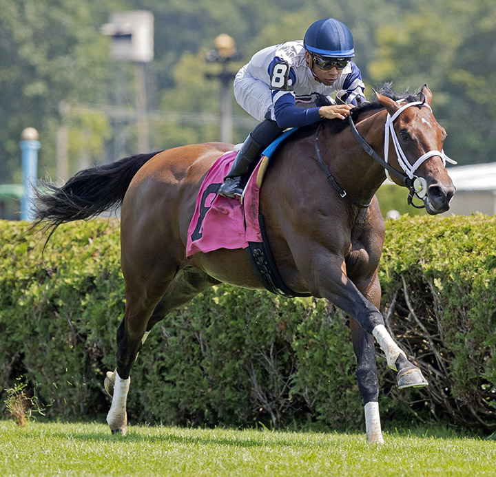 Our Country wins an Aug. 3 maiden race at Saratoga Race Course