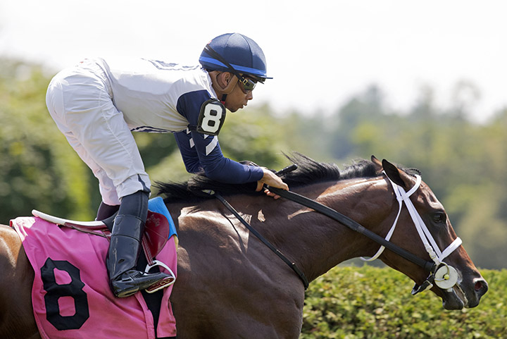 Our Country wins an Aug. 3 maiden race at Saratoga Race Course