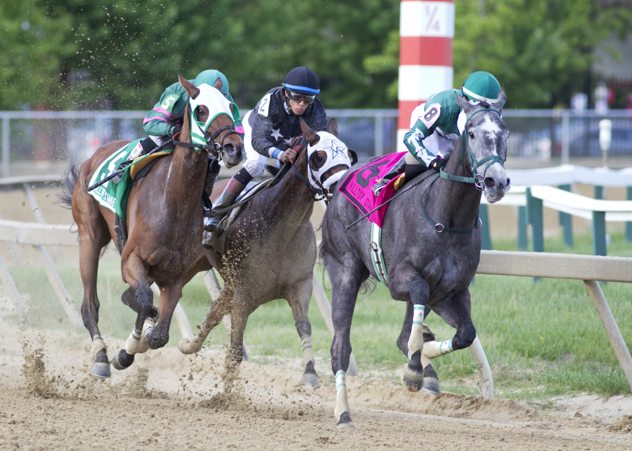 Our Epiphany wins the Hilltop Stakes