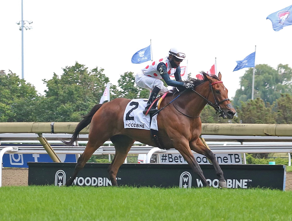 Our Flash Drive wins Ontario Colleen 8-22-2021