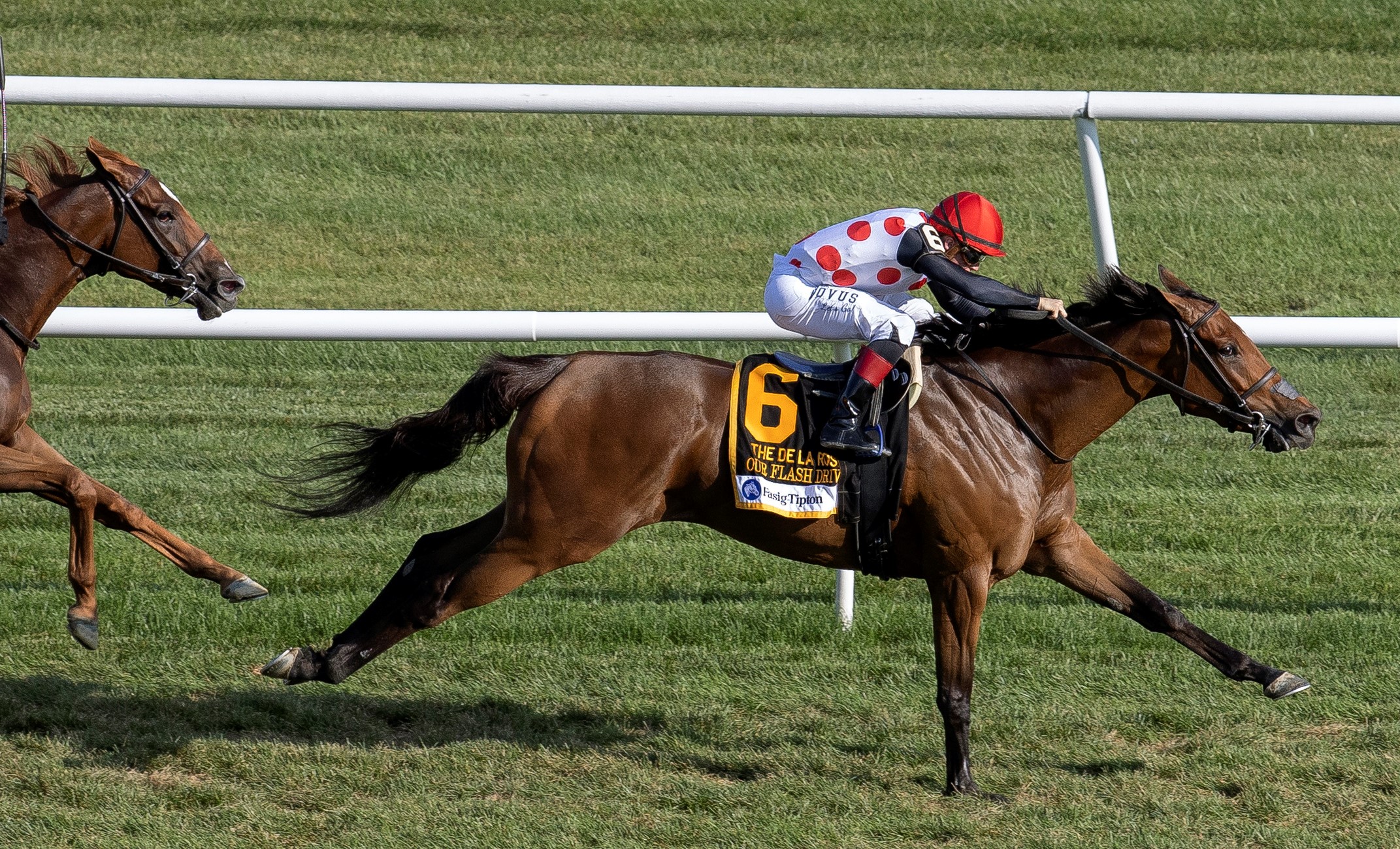Our Flash Drive wins the De La Rose at Saratoga Aug 7 2022