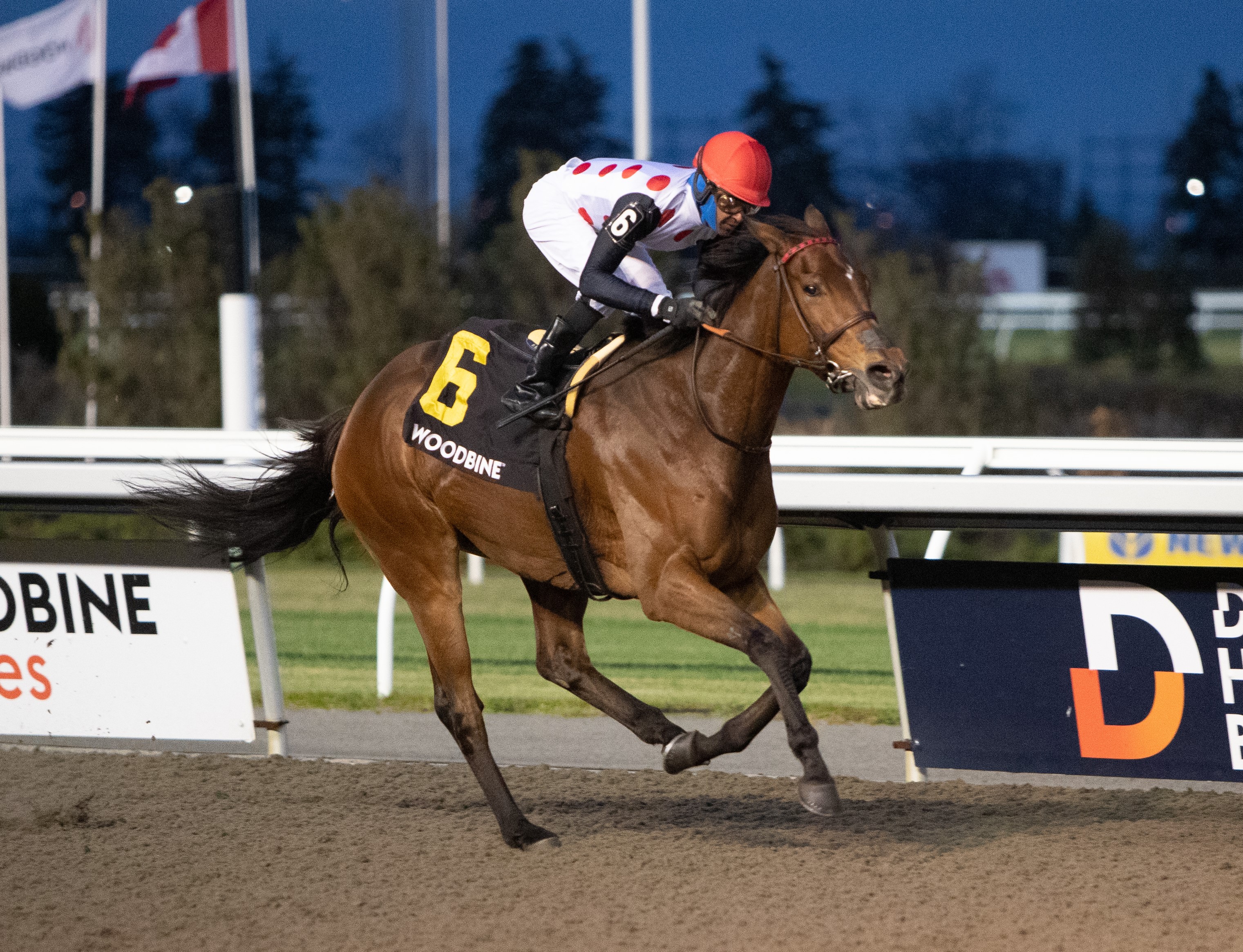 Our Flash Drive/Bessarabian Stakes