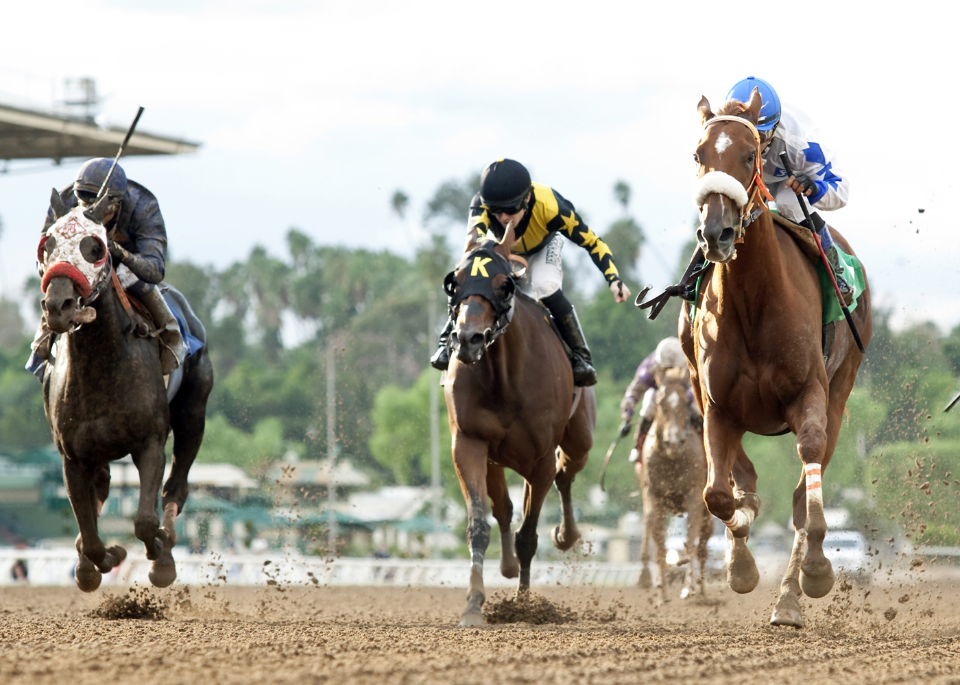 Kiss at Midnight finishes second in the California Distaff Handicap