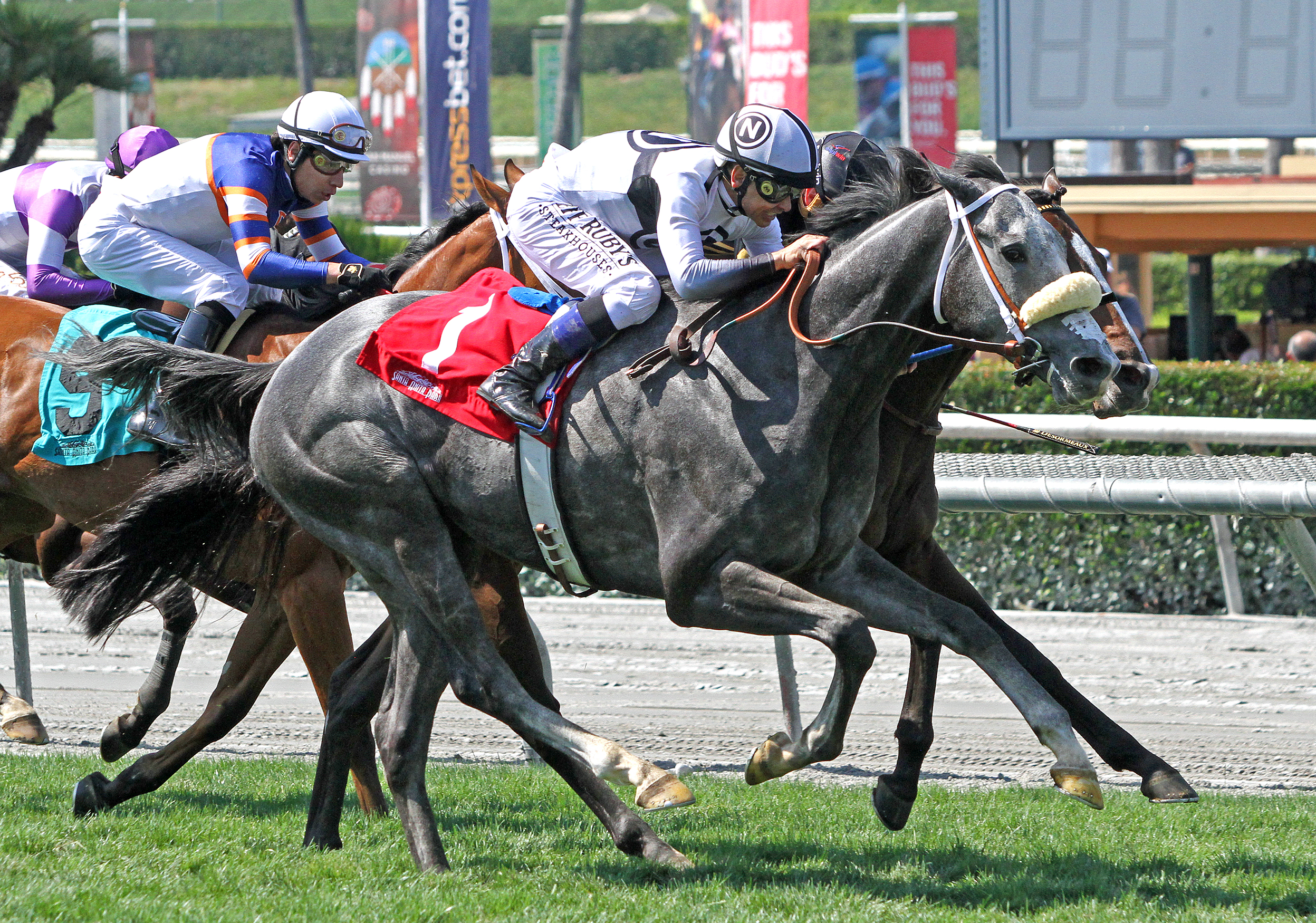 Our Silver Oak wins the 2019 Snow Chief Stakes