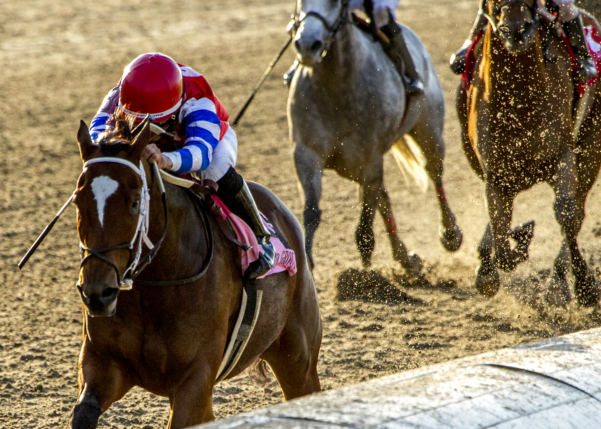 Ours to Run wins 2018 Happy Ticket
