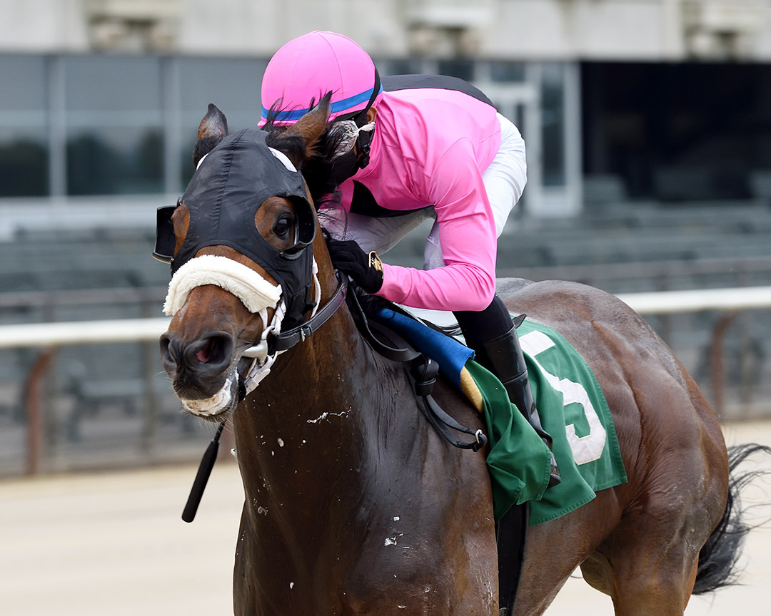Our Last Buck wins a June 11 allowance at Belmont Park